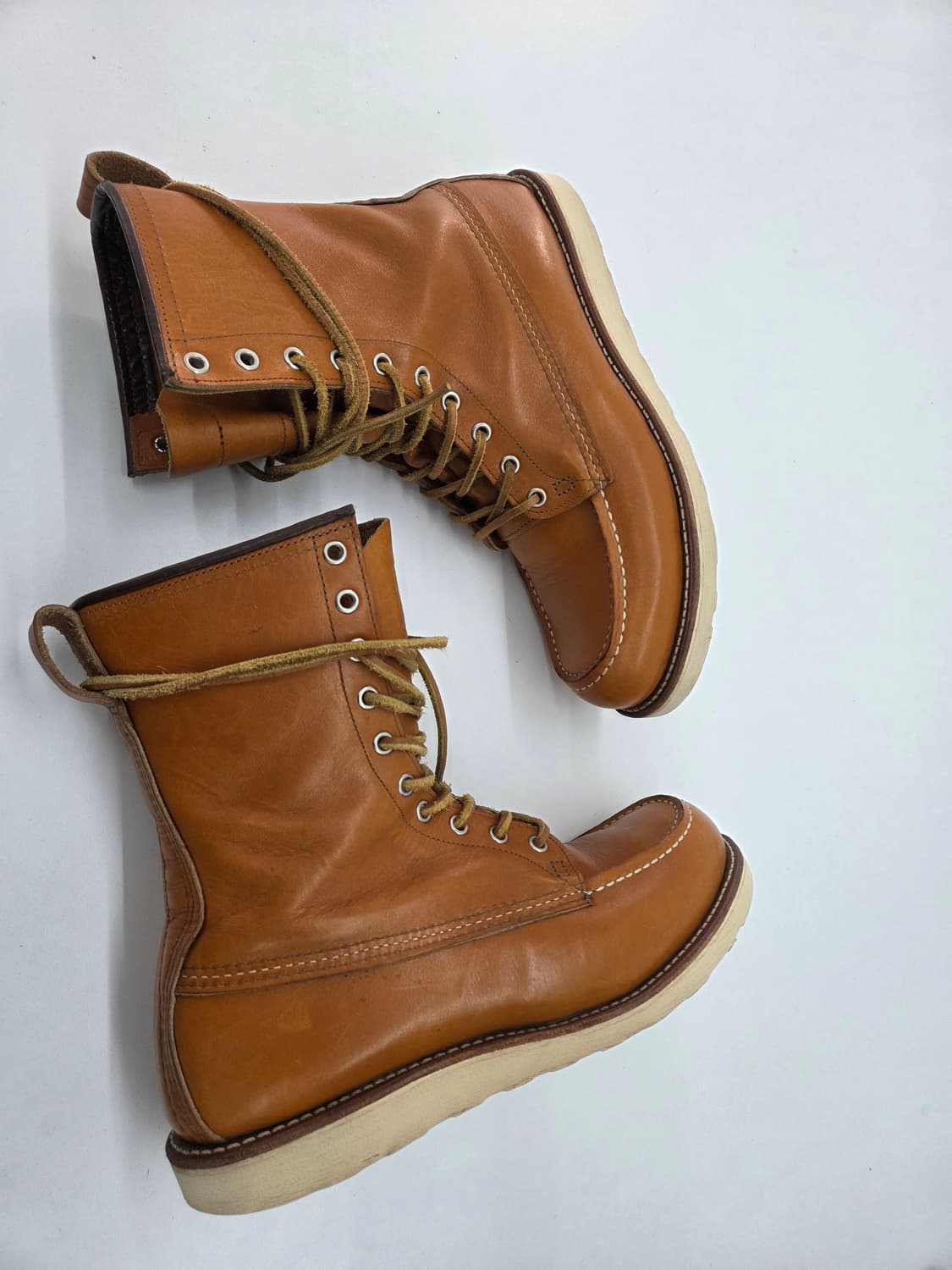 레드윙 9877 아이리시세터 9.5d 상품이미지3