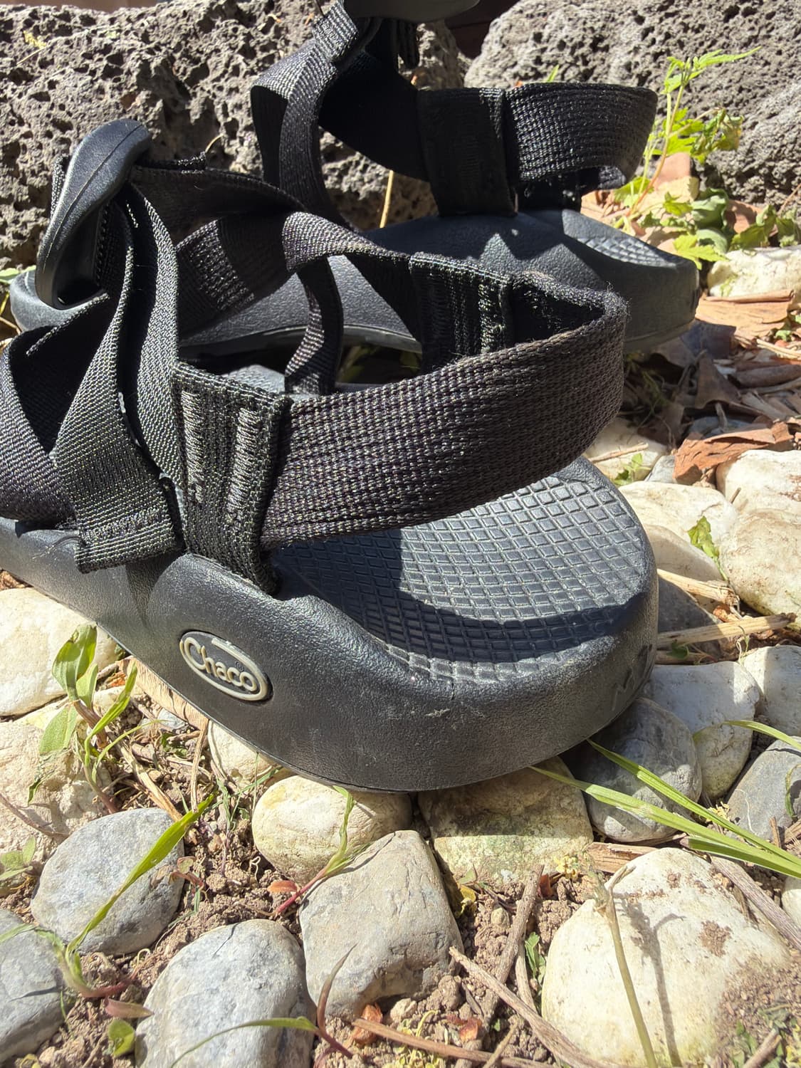 차코 z1 classic 상품이미지3