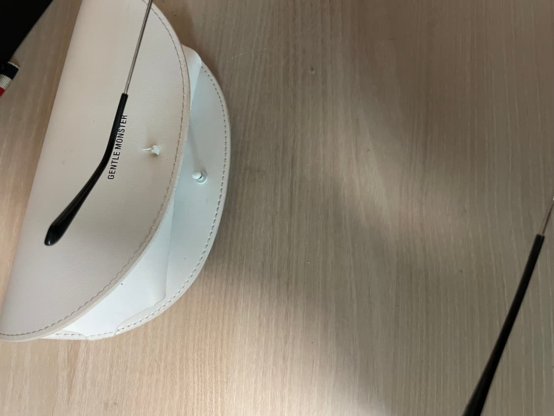 젠틀몬스터 알리오 상품이미지8