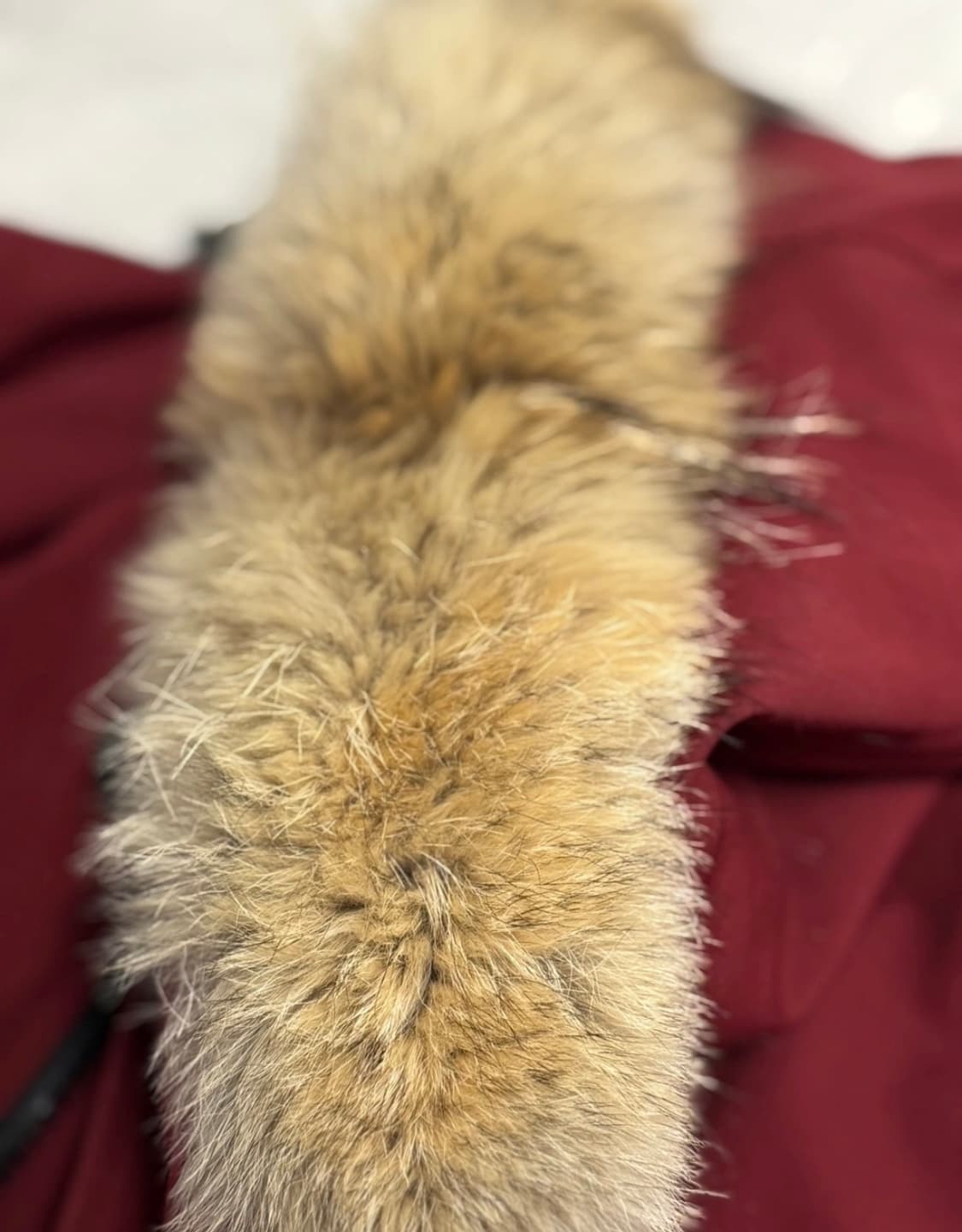 캐나다구스 샤토 L/G 상품이미지5