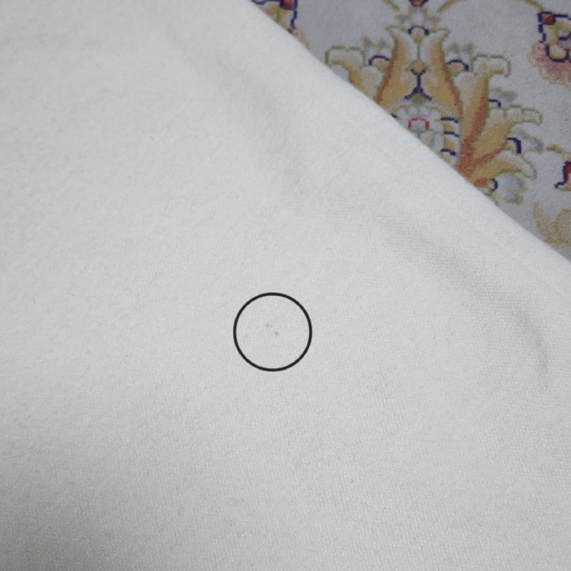 폴로 여성 와이드핏 울 슬랙스 팬츠

26 상품이미지8