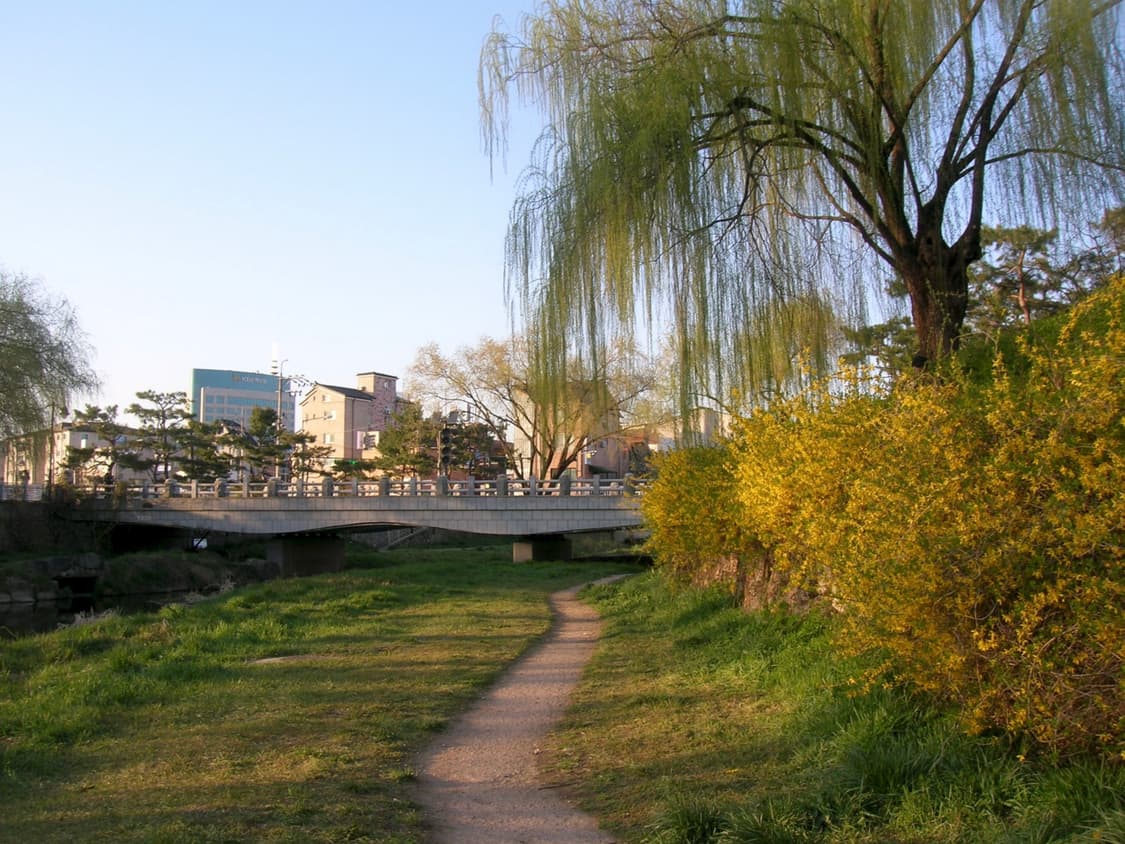 니콘 쿨픽스 5600 상품이미지4