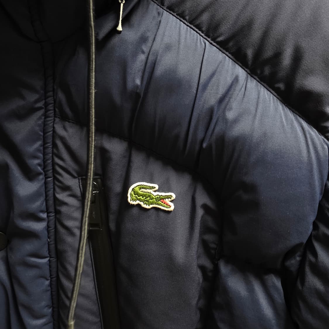 라코스테 패딩 상품이미지4