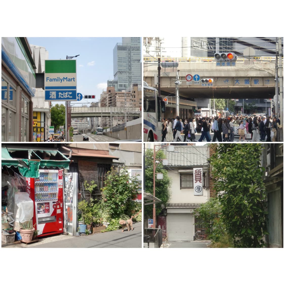 카시오 엑슬림 Z270 로즈골드 빈티지디카 상품이미지2