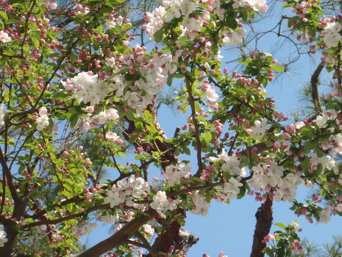 작례(0)올림푸스 뮤 터프 3000 상품이미지5