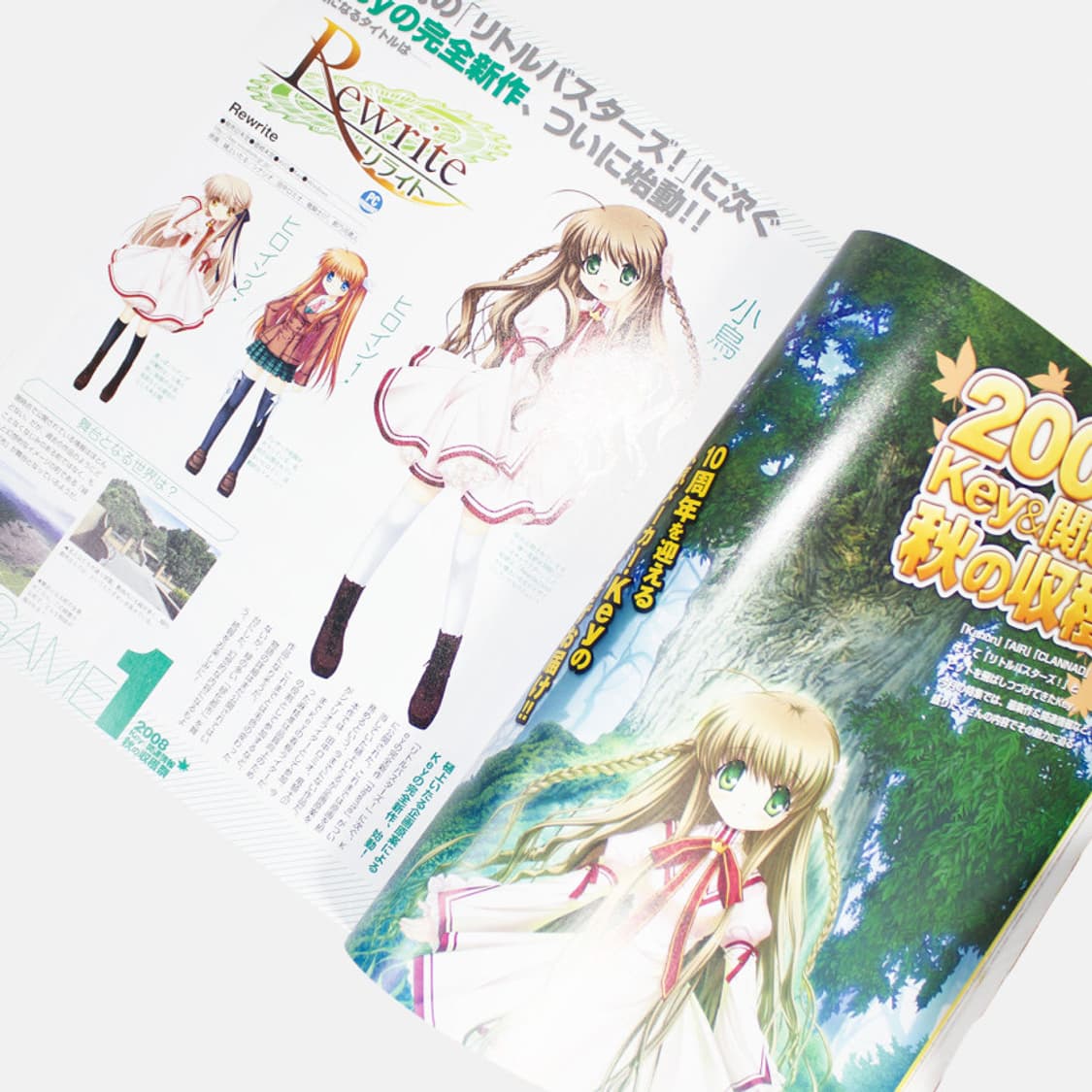 콤프티크 2008년 12월호 러키스타 럭키스타 코나타 표지 고전 미소녀 상품이미지10