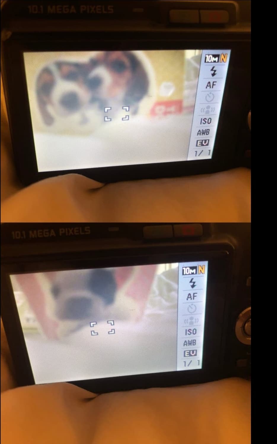 카시오 EX-Z1050 Casio Exilim EX-Z1050 4 상품이미지4