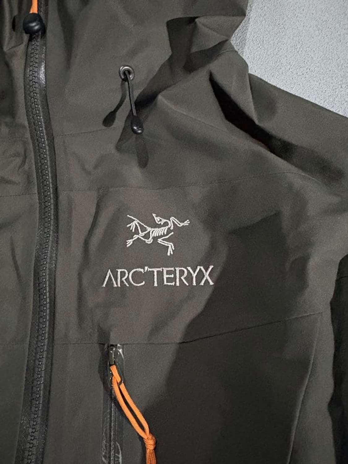 희귀 아크테릭스 알파 SV 재킷 상품이미지3
