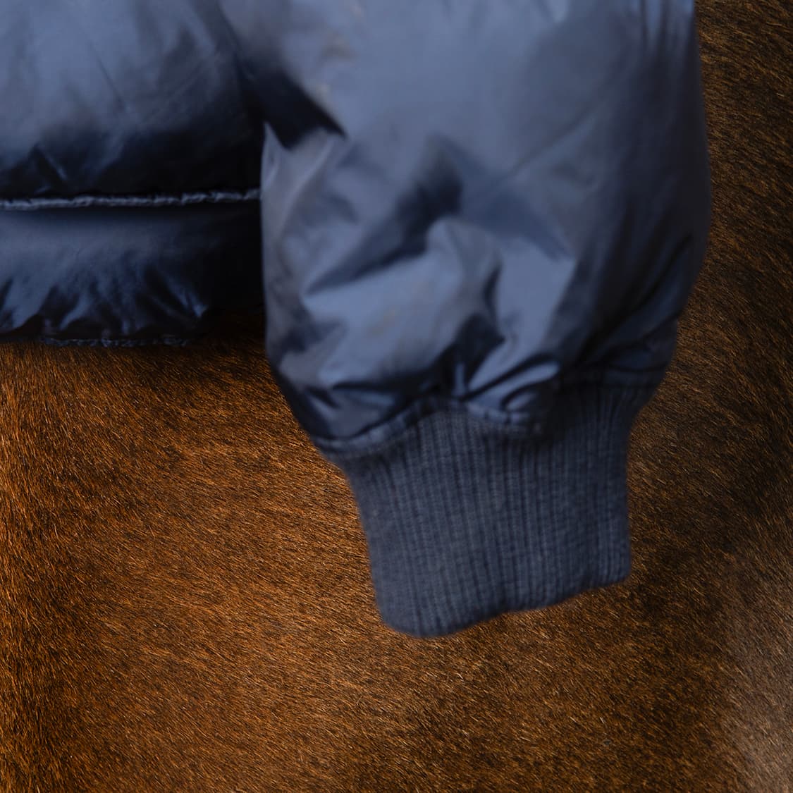 [105] 디스퀘어드 2013 콜마이너 다운 자켓 네이비  상품이미지4