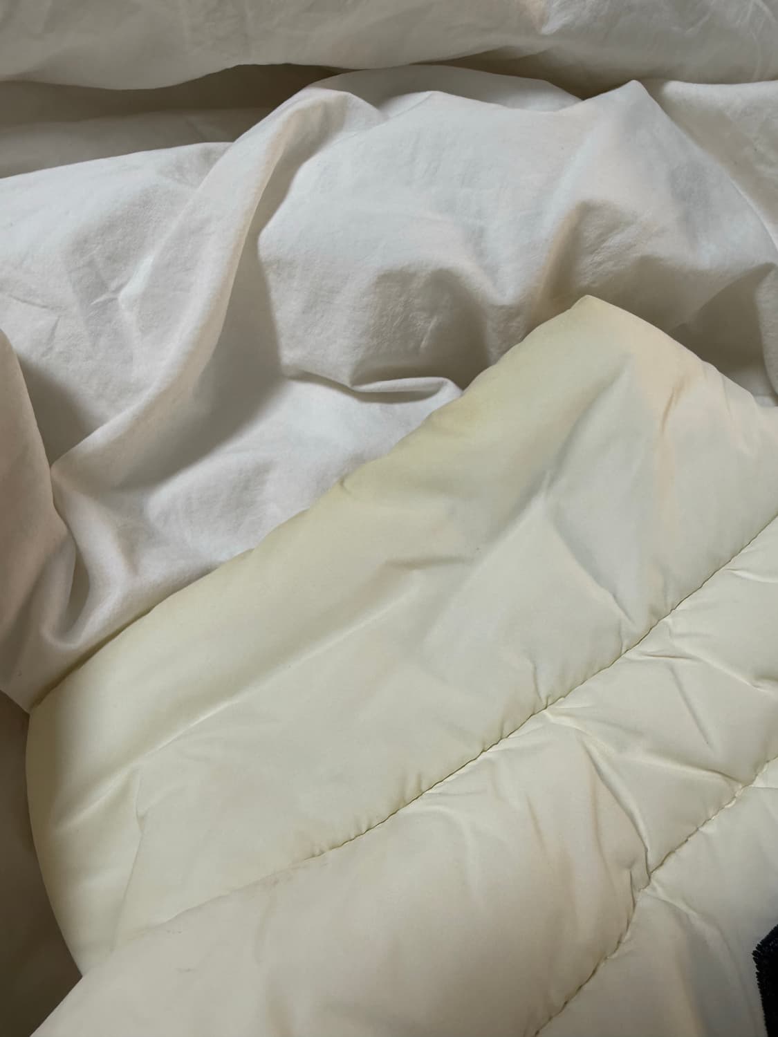 폴로 빅포니 성조기 패딩 크림 상품이미지7