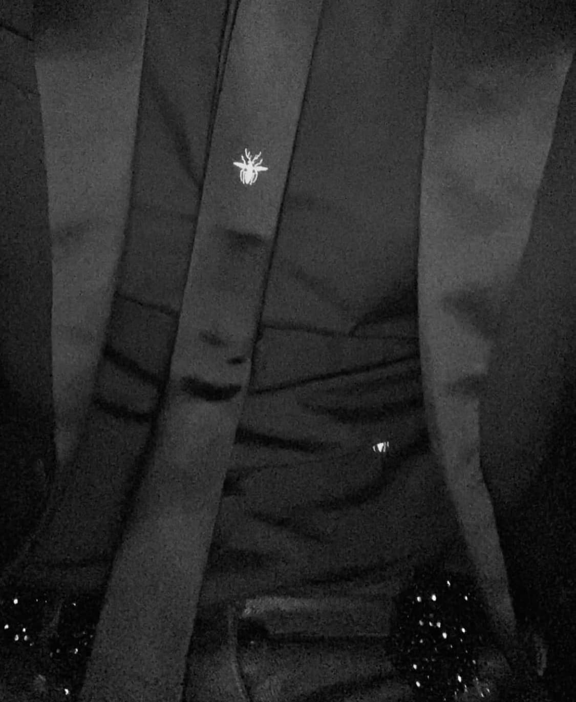 디올옴므 에디기 bee 넥타이 상품이미지2