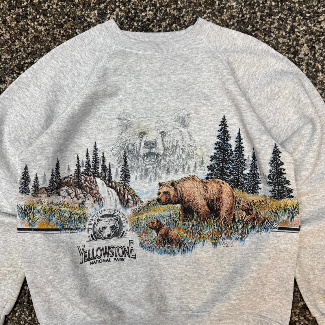 90s 헤인즈 스웻셔츠 맨투맨 made in USA (L)   상품이미지2