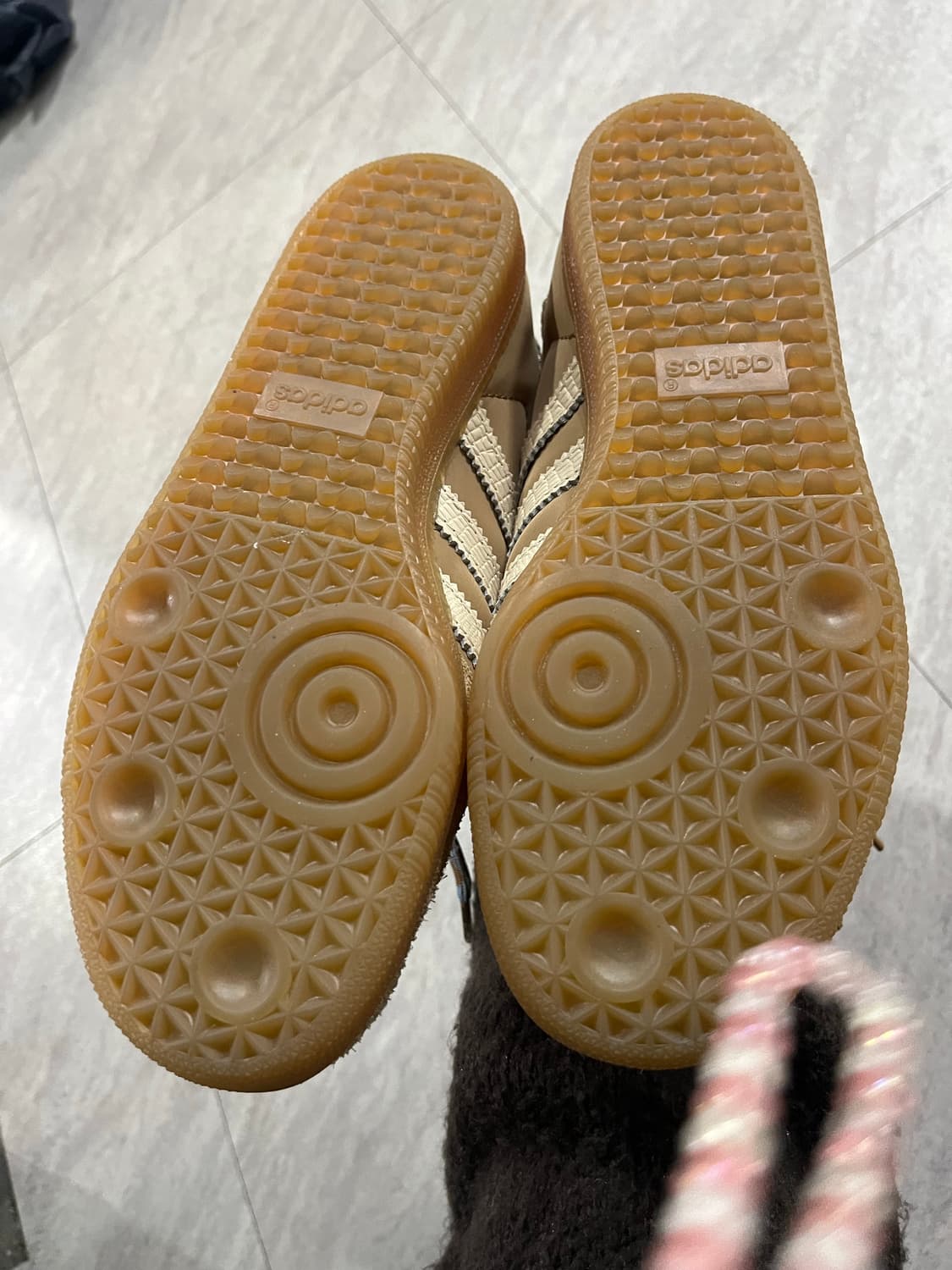 웨일스보너 250 상품이미지3