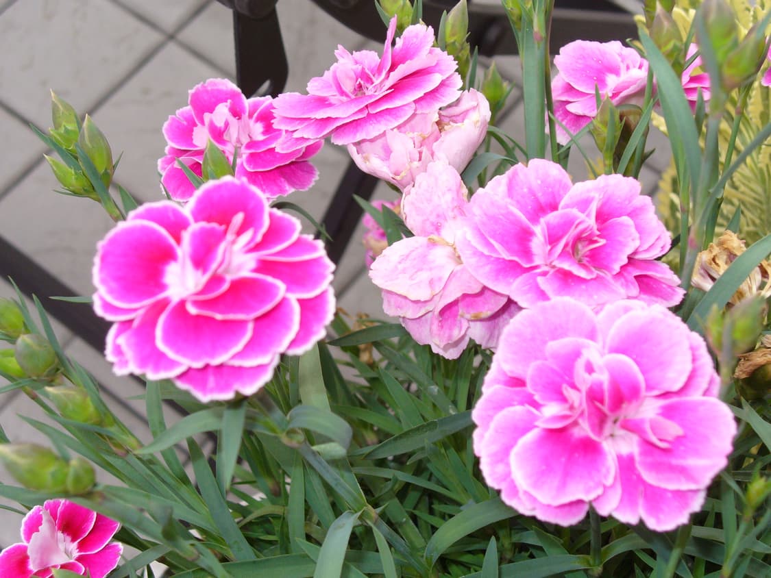 상태좋음🧚 파나소닉 DMC-LZ2 블랙 빈티지 디카 작례⭕️ 필름감성 상품이미지7