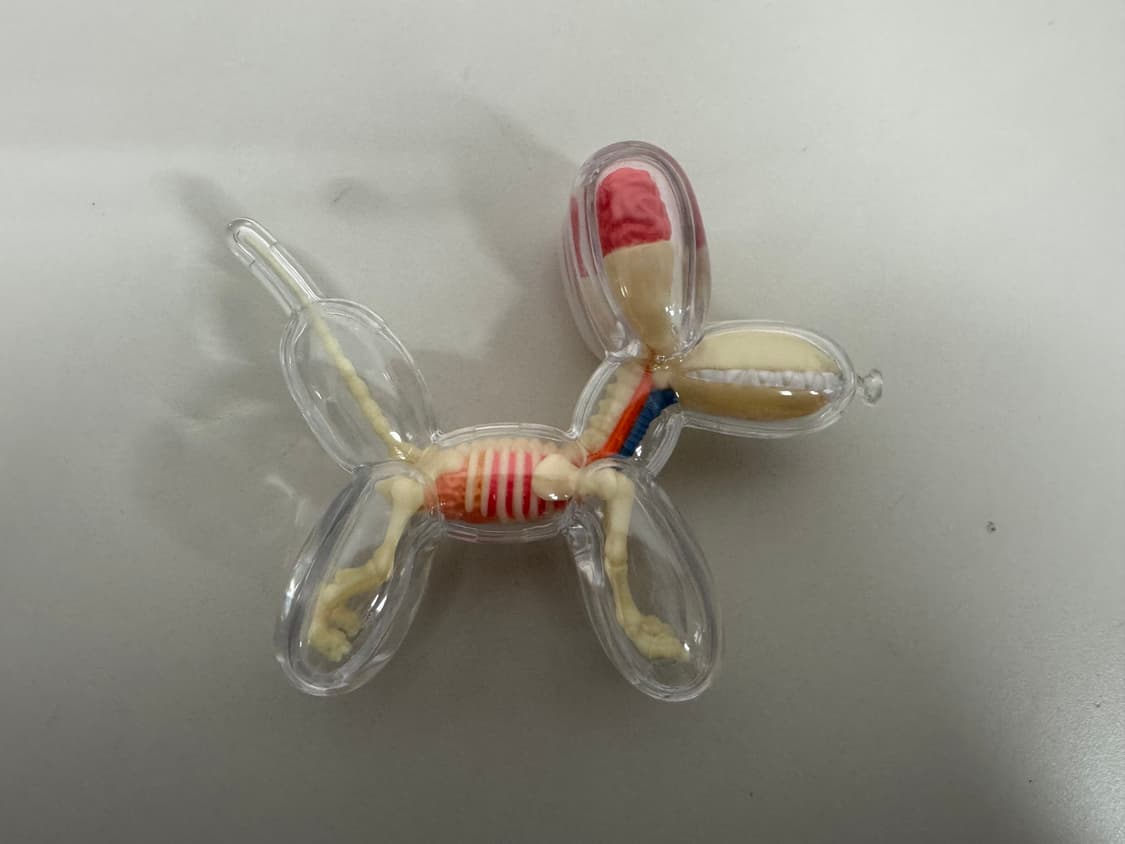 제이슨프리니 제프쿤스 4d마스터 벌룬독 아트토이 라지,스몰 세트 상품이미지7