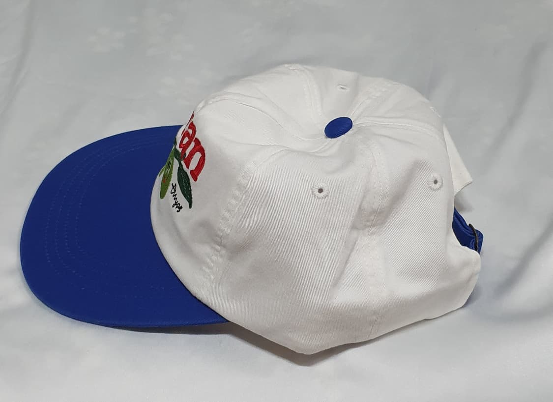 화이트 블루 레드 그린 피지컬 디파트먼트 피칸 트러커 캡 볼캡  상품이미지5