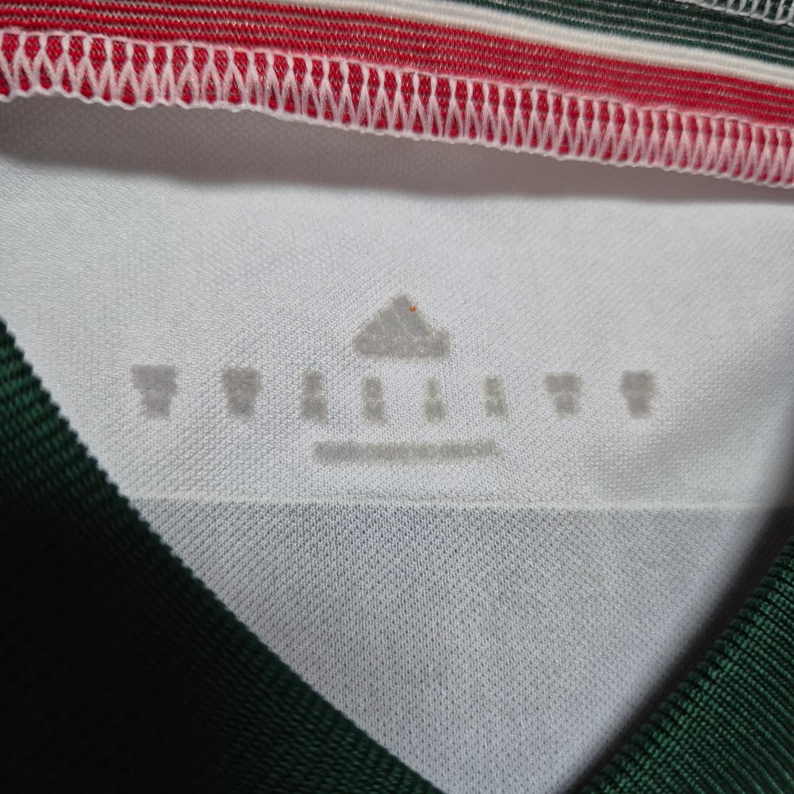 14 팔메이라스 에두아르두 M (100주년/지급용) 상품이미지5