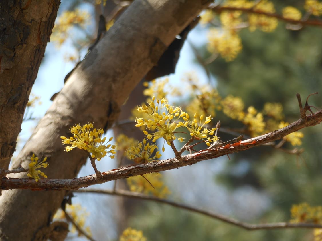 니콘 쿨픽스 COOLPIX S6200 디카 풀박스 (작례) 상품이미지7