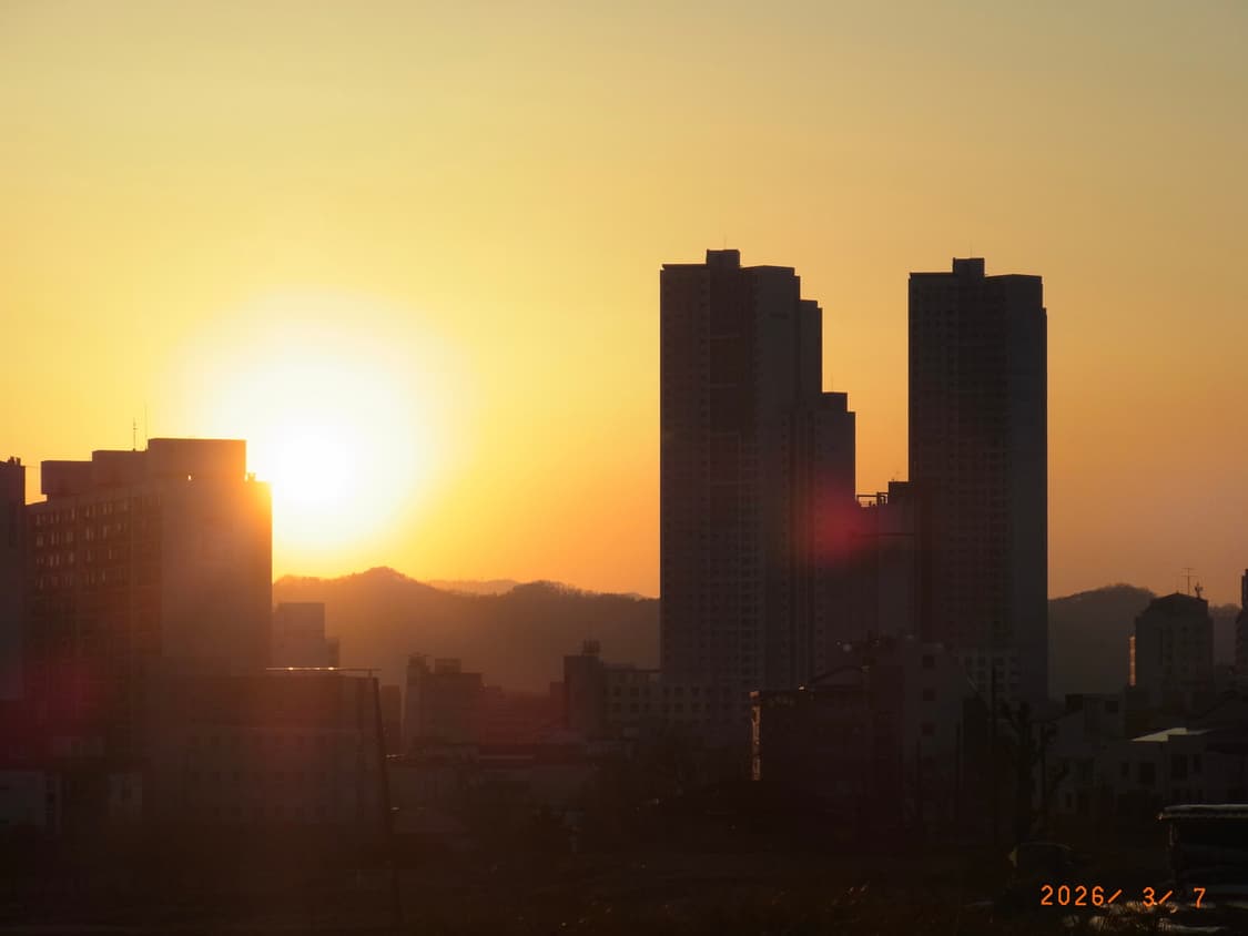[A급 희귀] 리코 cx4 상품이미지7