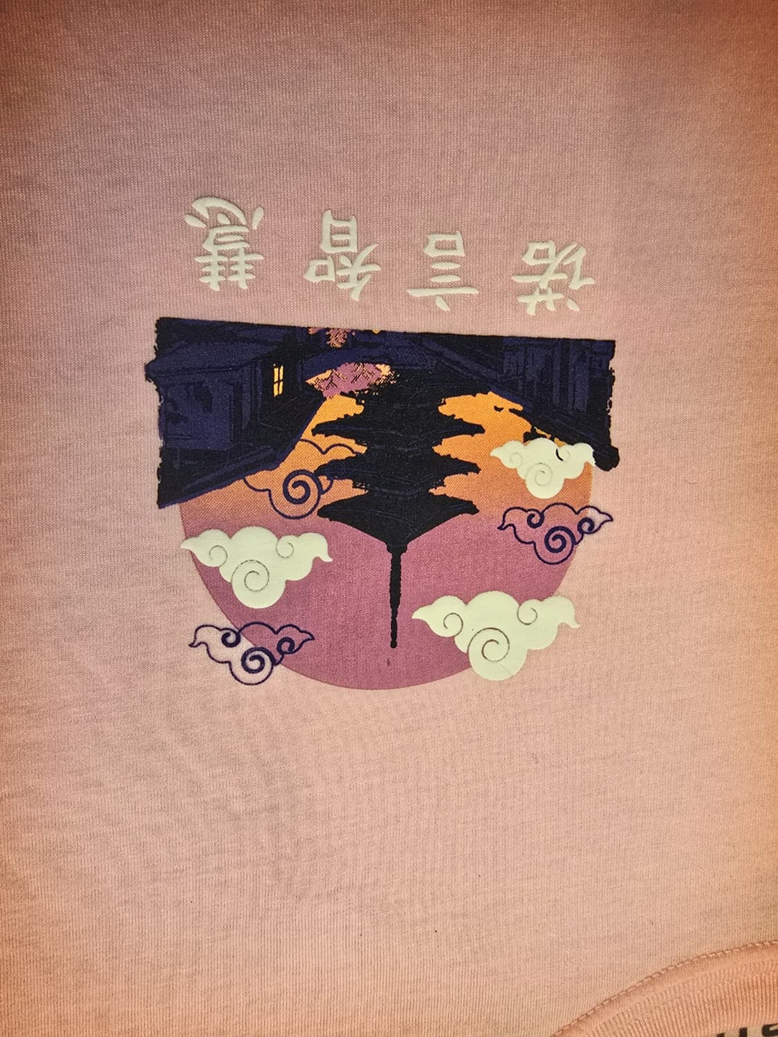 RGSTR 파고다 웨이브 에스테틱스 빈센트 트리니다드 티셔츠 상품이미지3