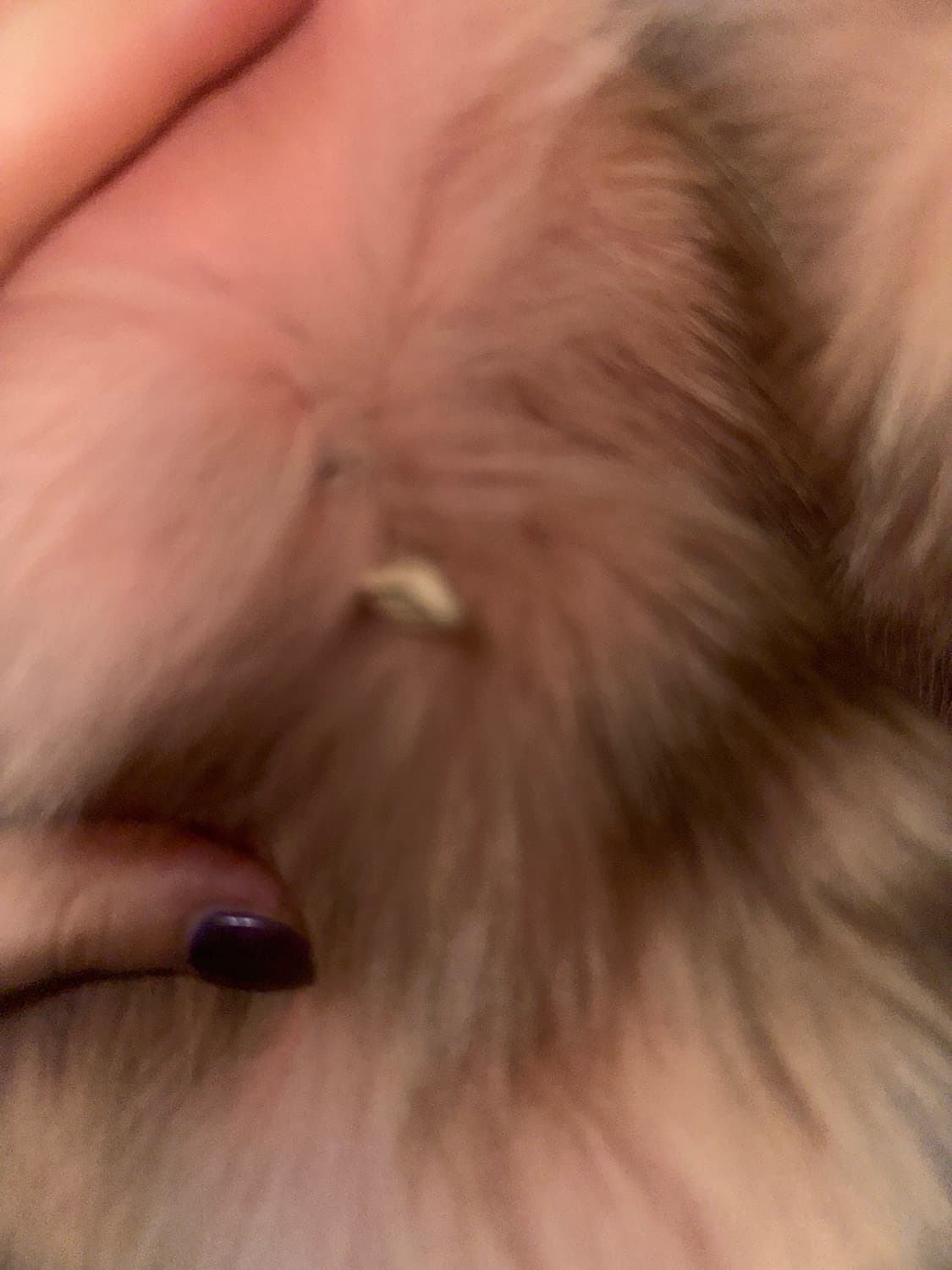 빈티지 핑크 폭스 퍼자켓 상품이미지4