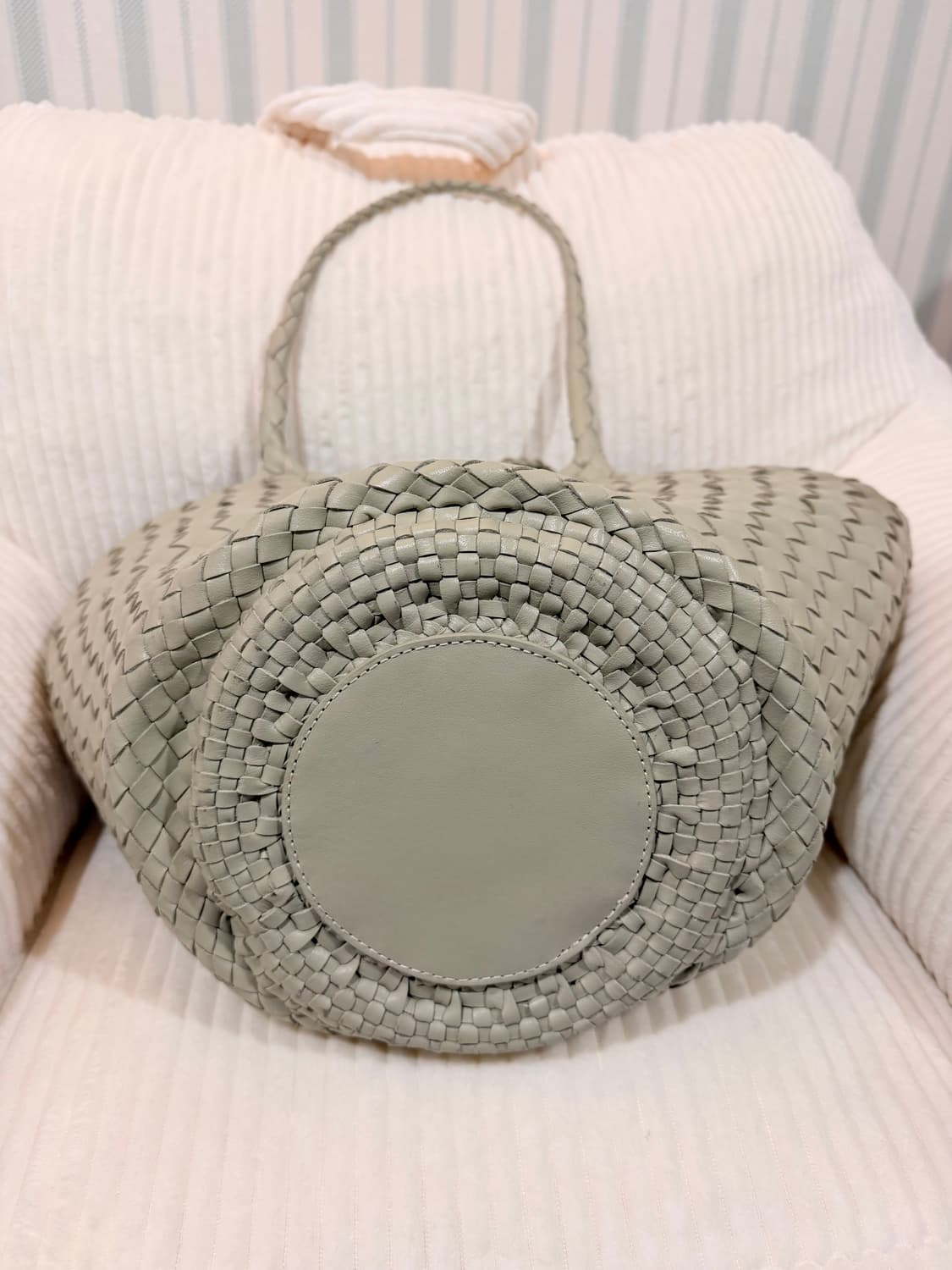 드래곤디퓨전 이고라 펄 상품이미지5