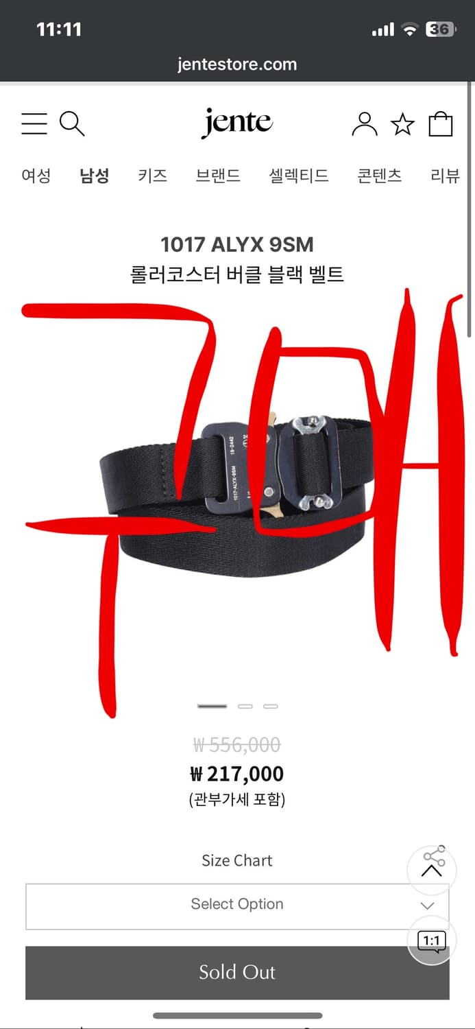 (구매)알릭스 벨트 (모델 상관없음) 상품이미지1