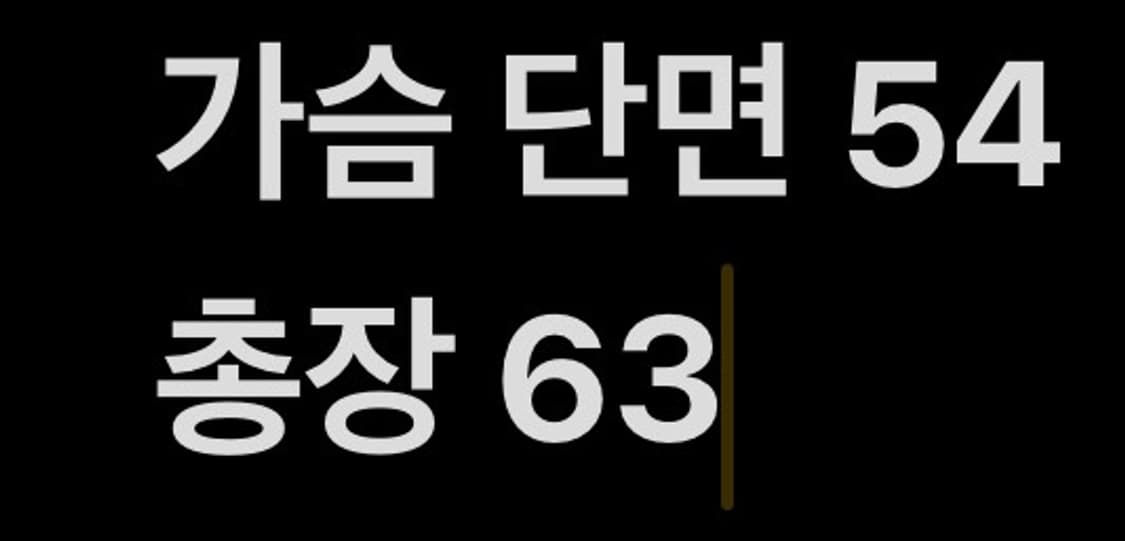 [ 정품/L ] 나이키 스우시 나일론 조끼 b16 상품이미지7