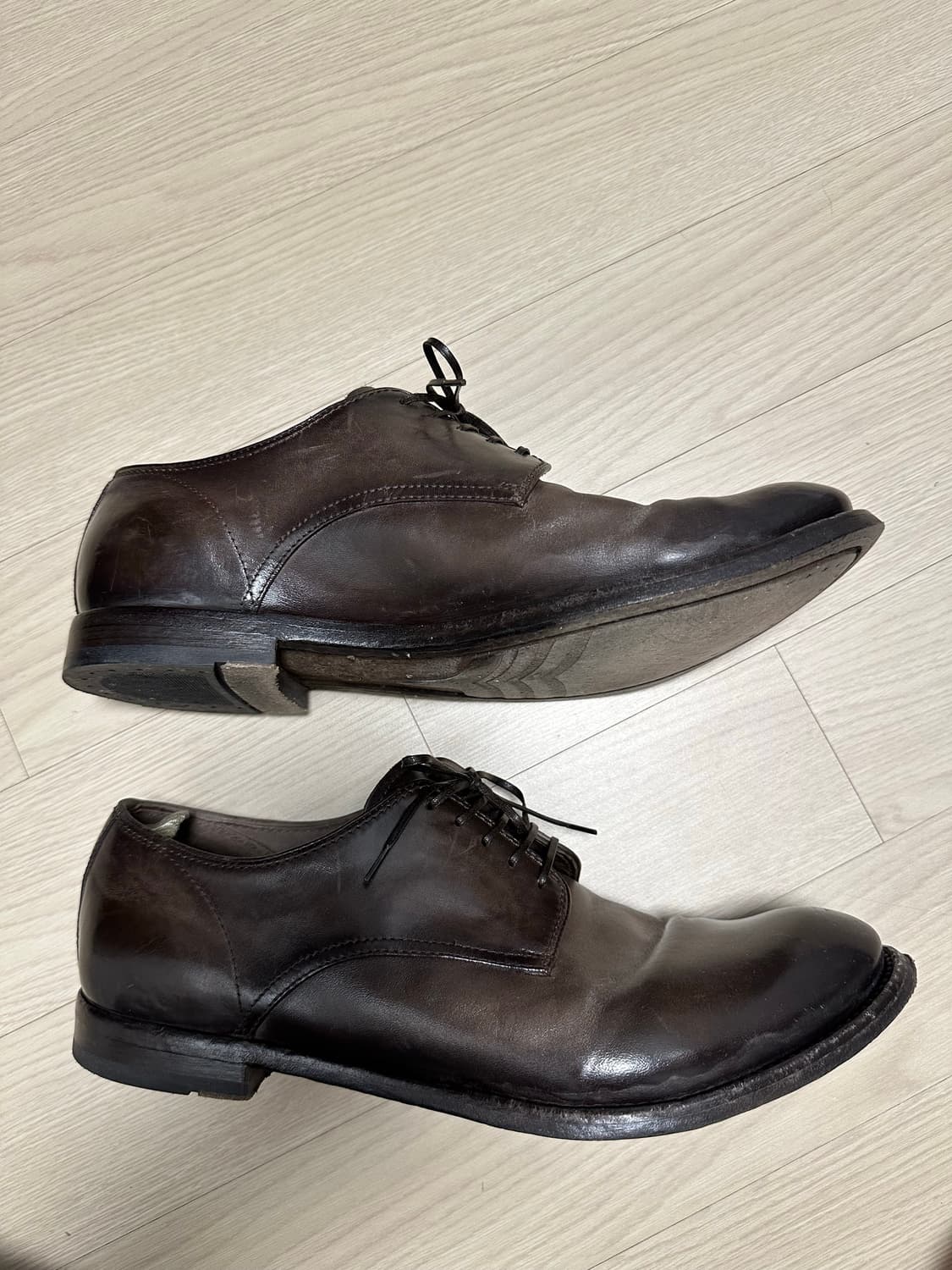 오피치네크리아티베 Anatomia 012 (Bordo) 43.5(285) 상품이미지3