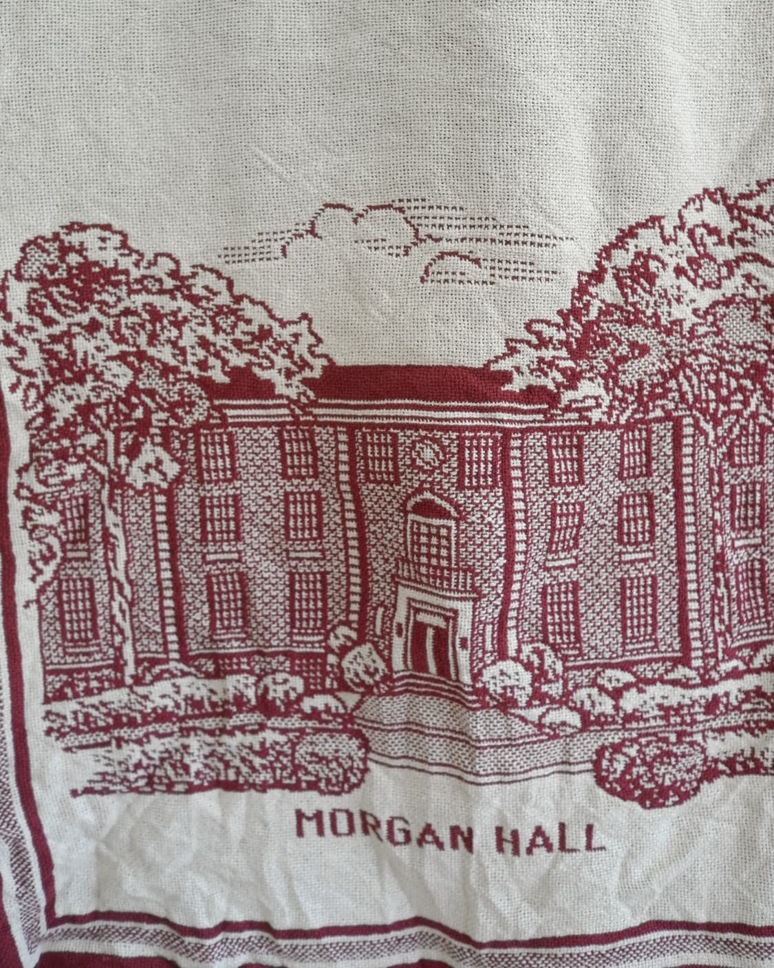 Havard 상품이미지4