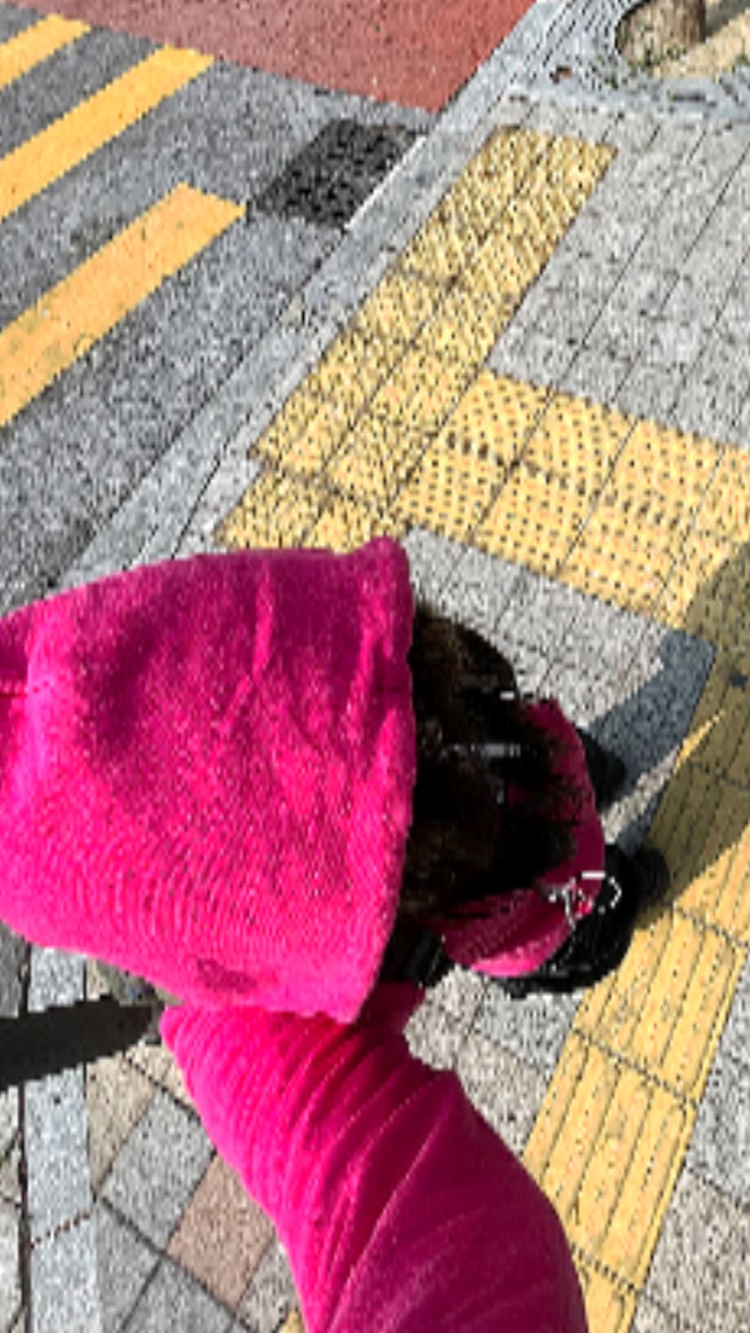 갭 핫핑크 후집 상품이미지2