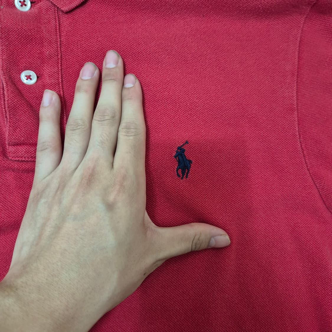 폴로 랄프로렌 스몰포니 PK 반팔 카라티 상품이미지4