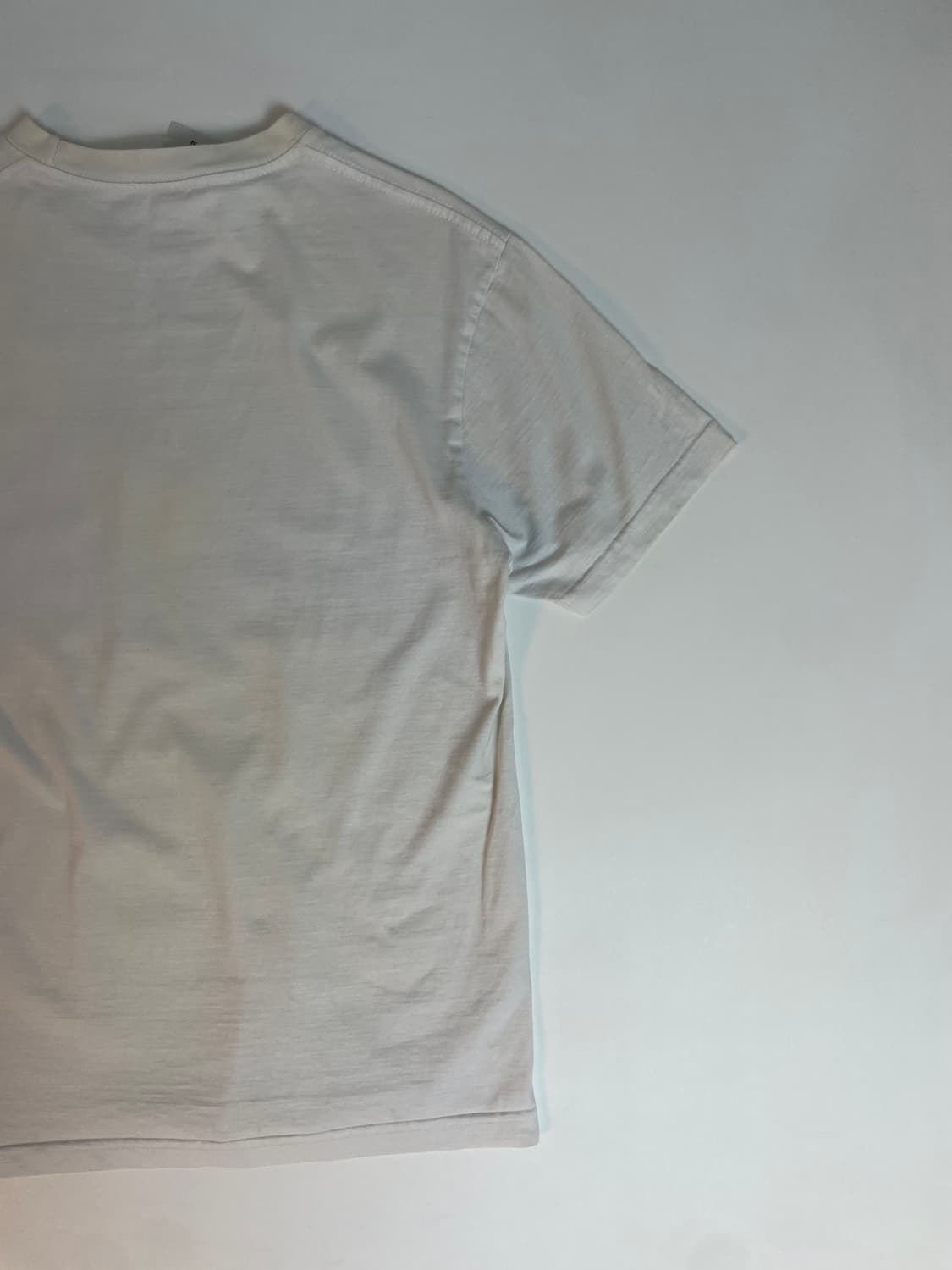 프룻오브더룸 프린팅 티셔츠  상품이미지9