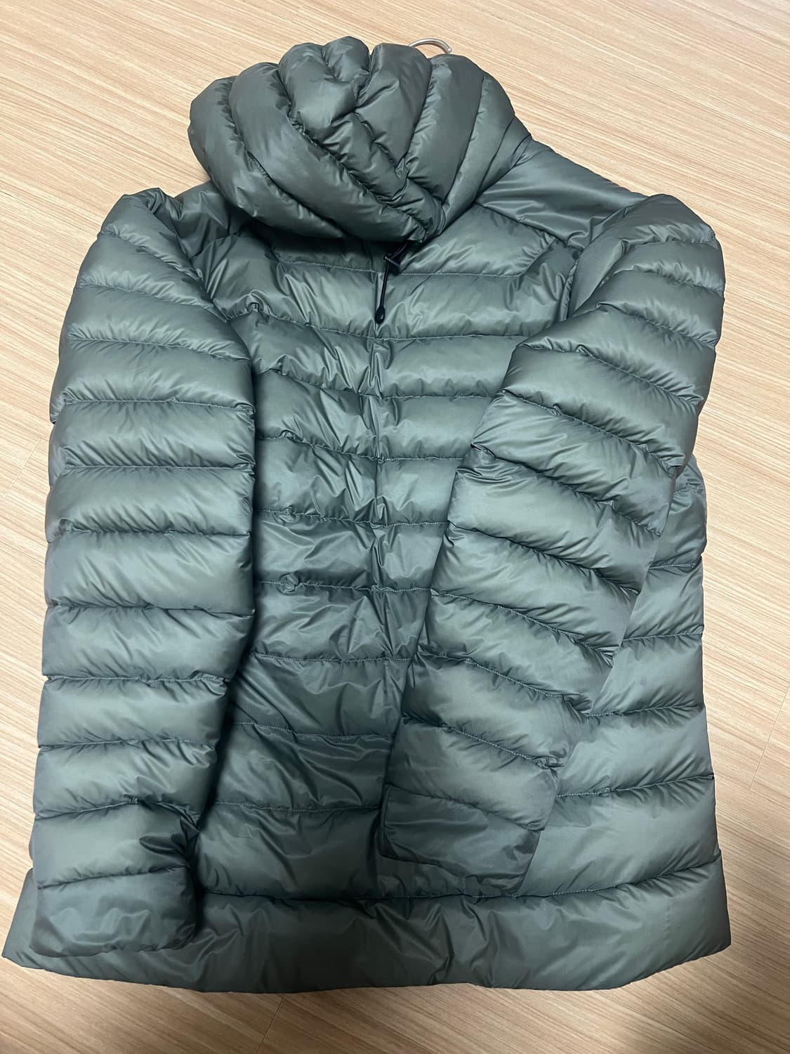 아크테릭스 세륨 후디 포리지 베르베 상품이미지4