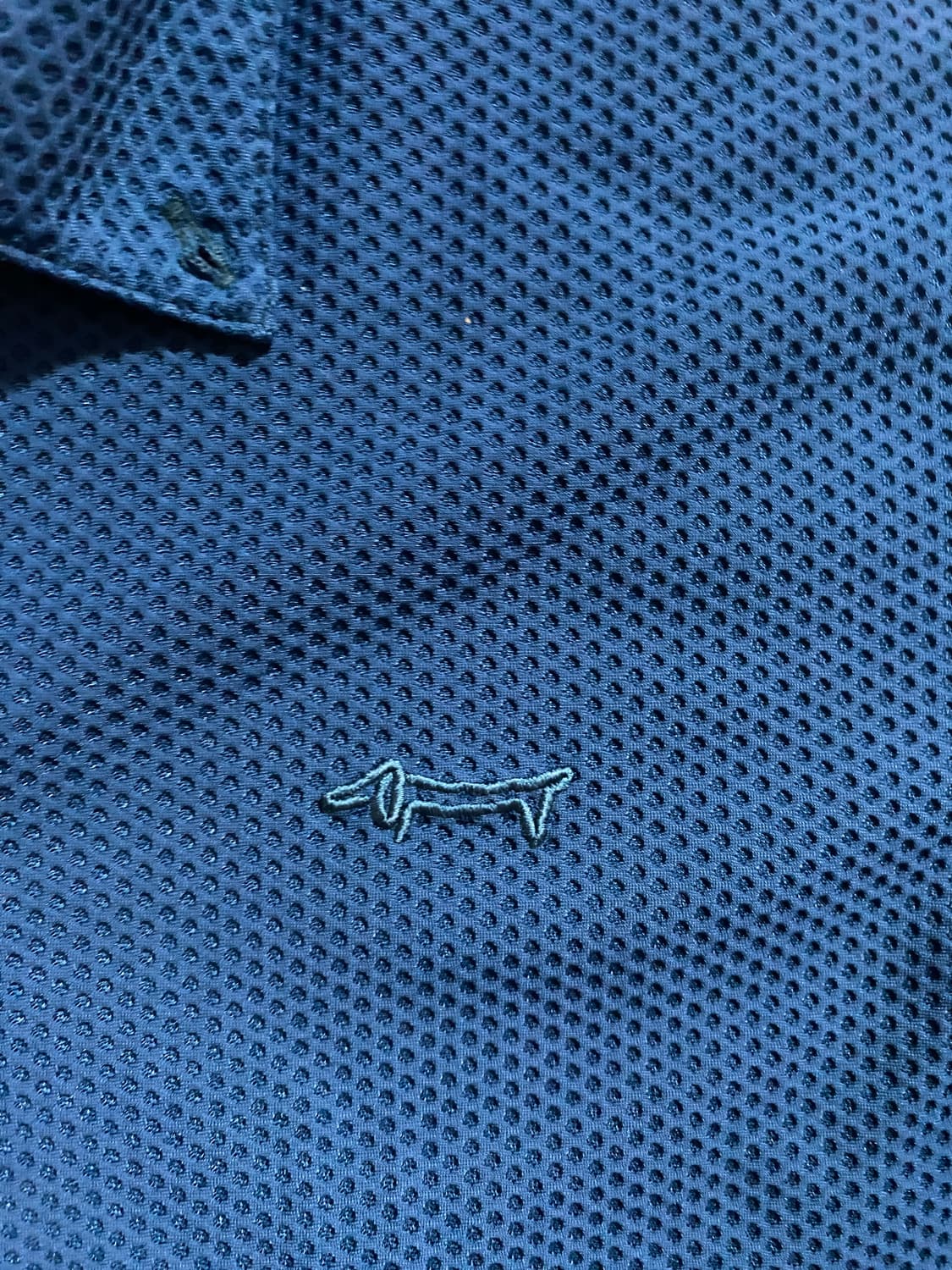 루이까스텔 블루 105 사이즈 남성 카라티 상품이미지3