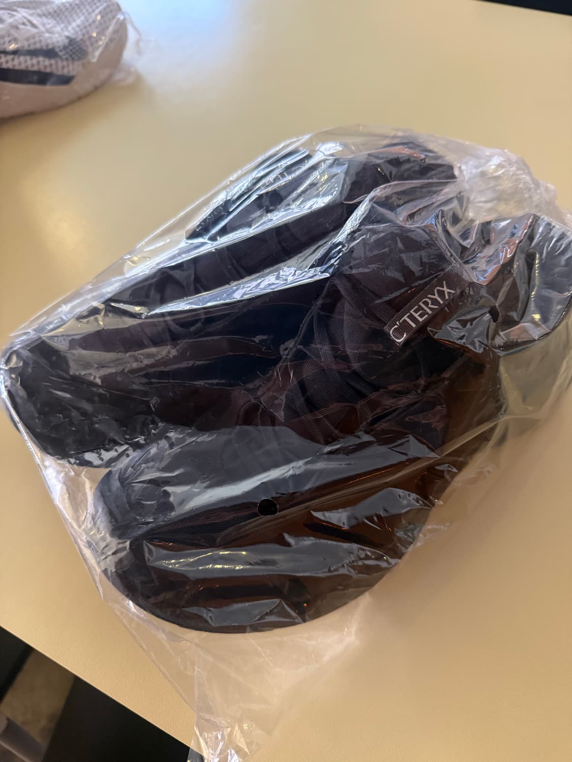 아크테릭스 에어리어스fl 265 상품이미지6