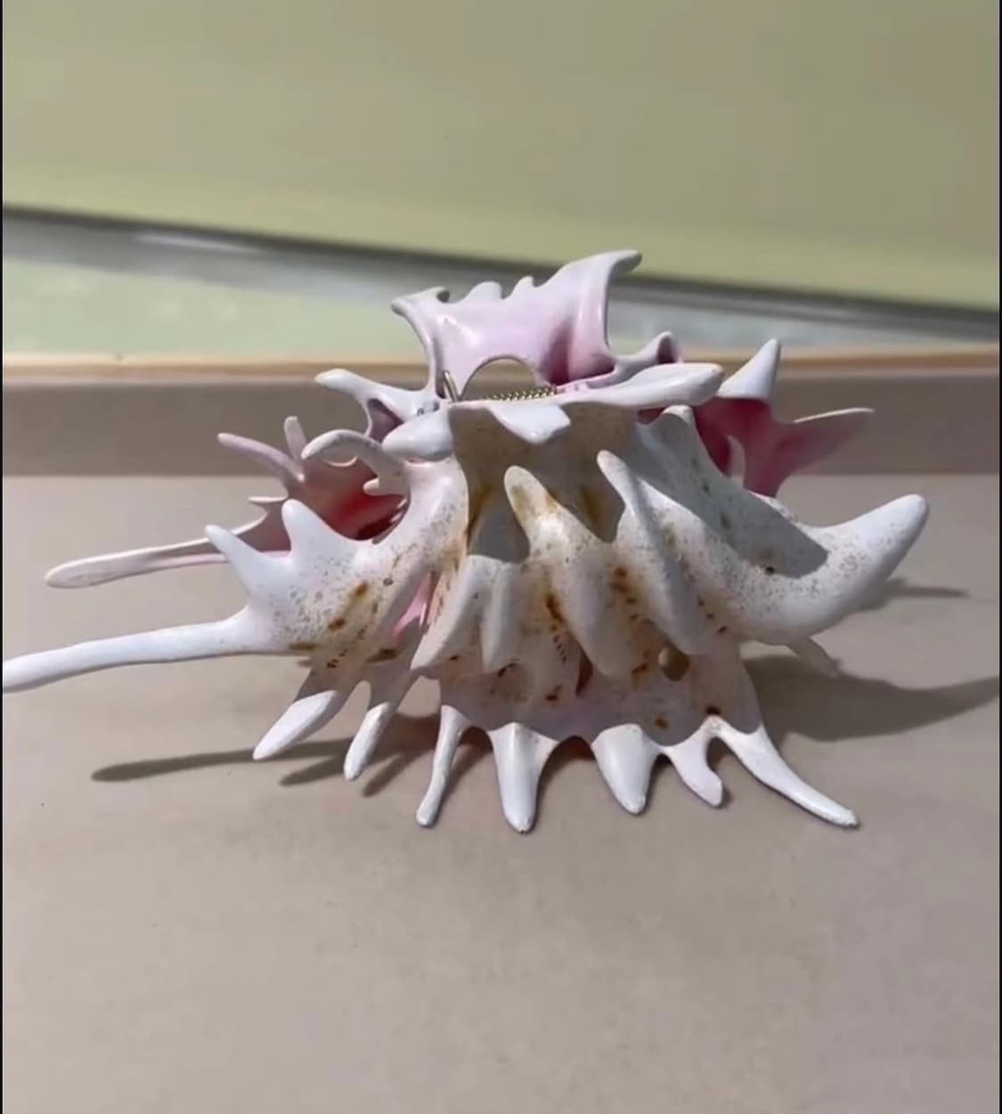 yvmin 헤어클립 집게핀 머리핀 헤어 악세서리 위민 슈슈통 상품이미지7