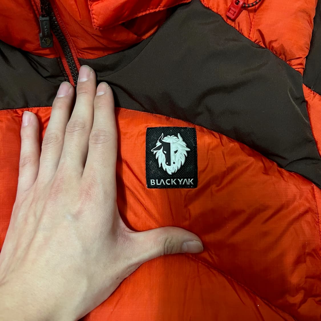 블랙야크 남성 윈드스토퍼 구스다운 패딩 L/100  상품이미지5