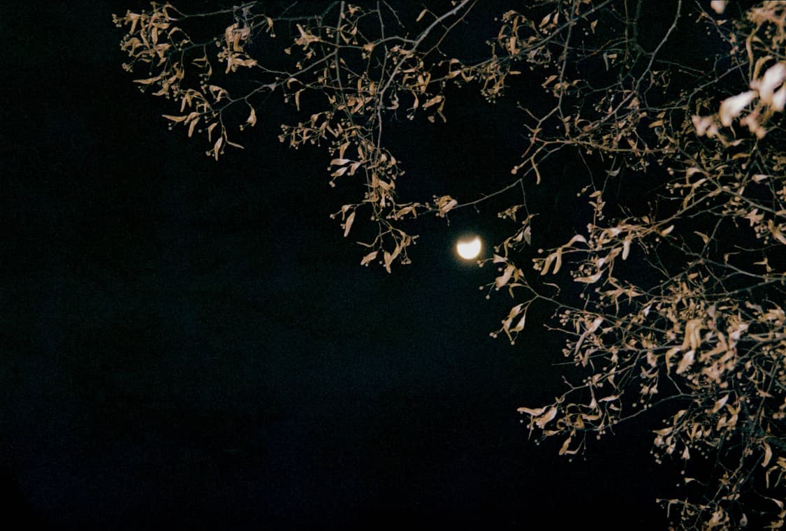 작례O 펜탁스 줌 라이벌 삼성 af 줌 800 필름카메라 빈티지 필카 유 상품이미지6