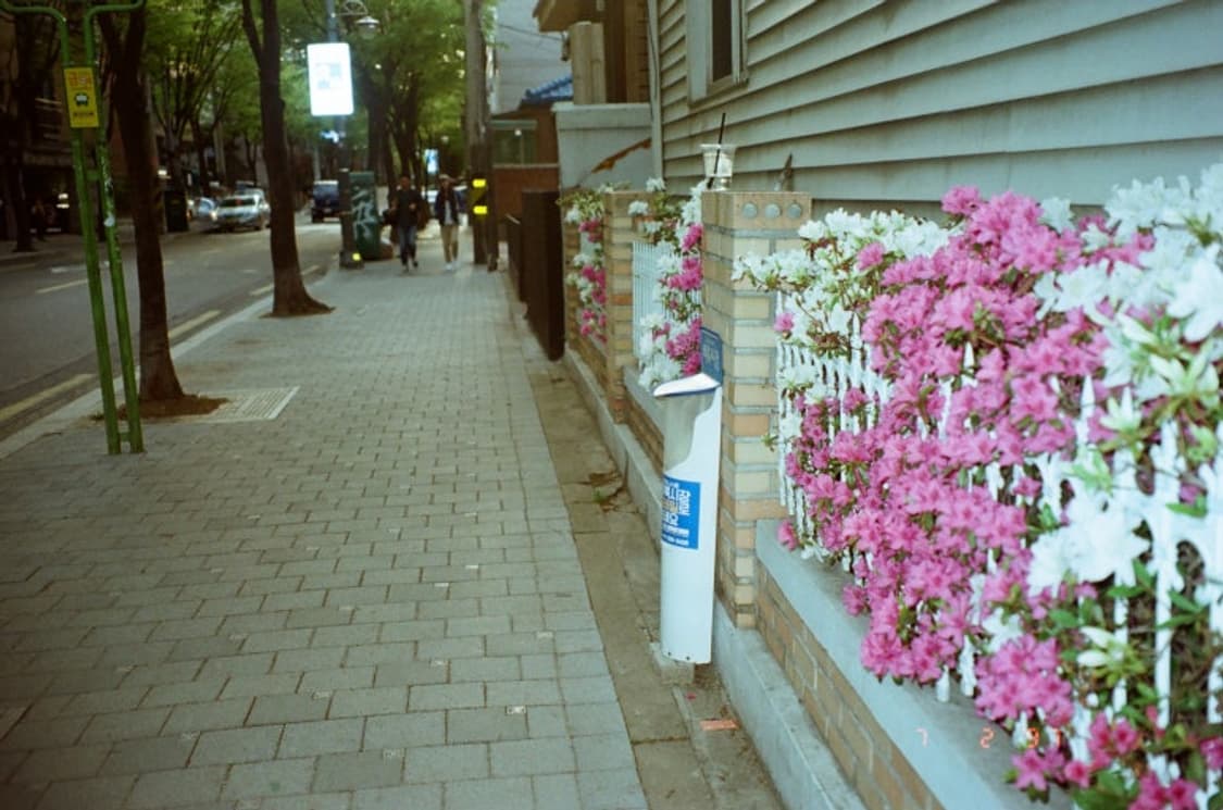 올림푸스 뮤 [mju:]-1 블랙 필름 카메라 상품이미지6