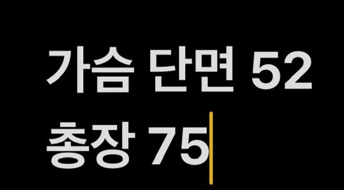 [정품/M] 롯데 자이언츠 올드 유니폼 레드 b16 상품이미지6