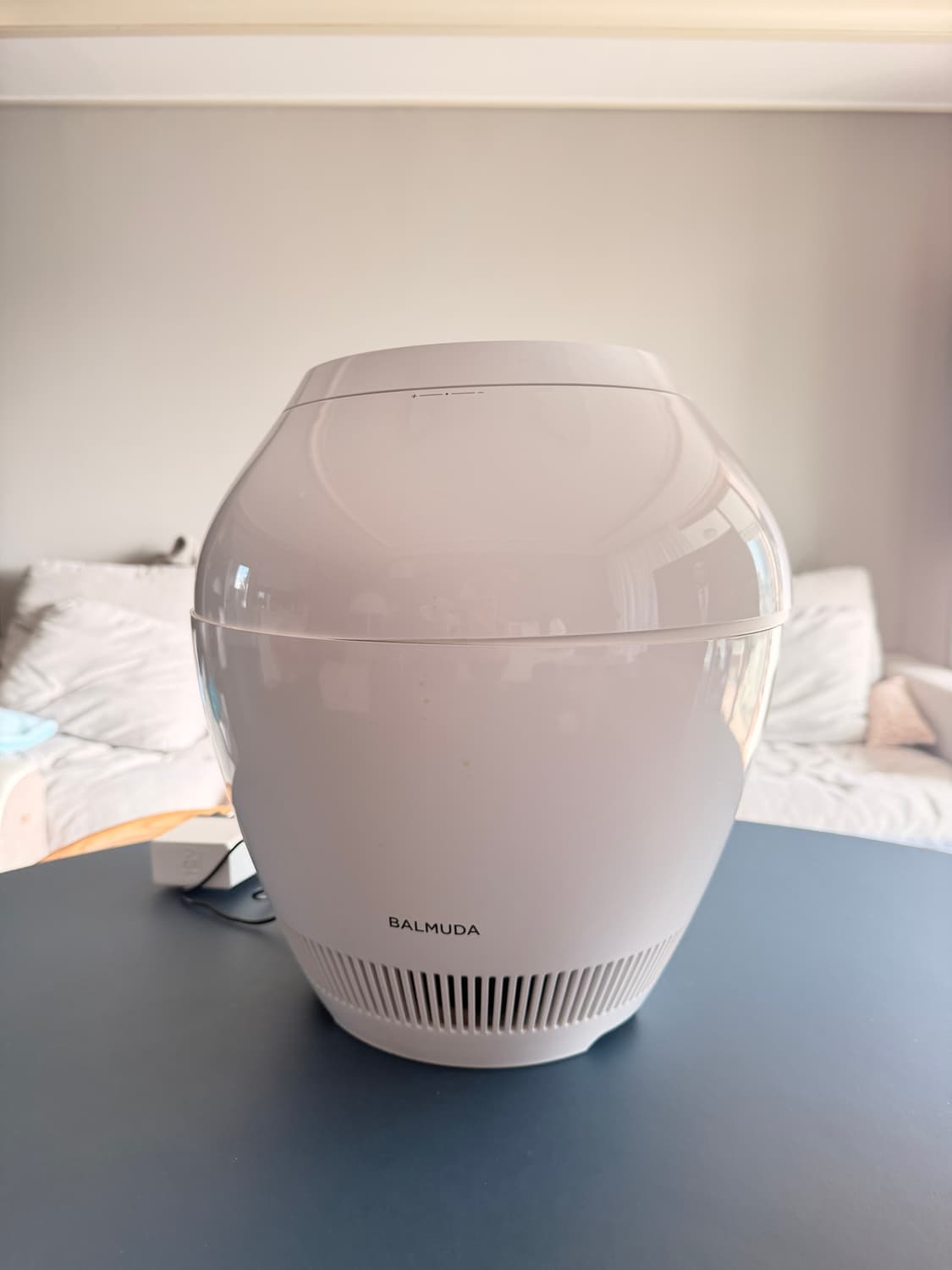 발뮤다 가습기  상품이미지1