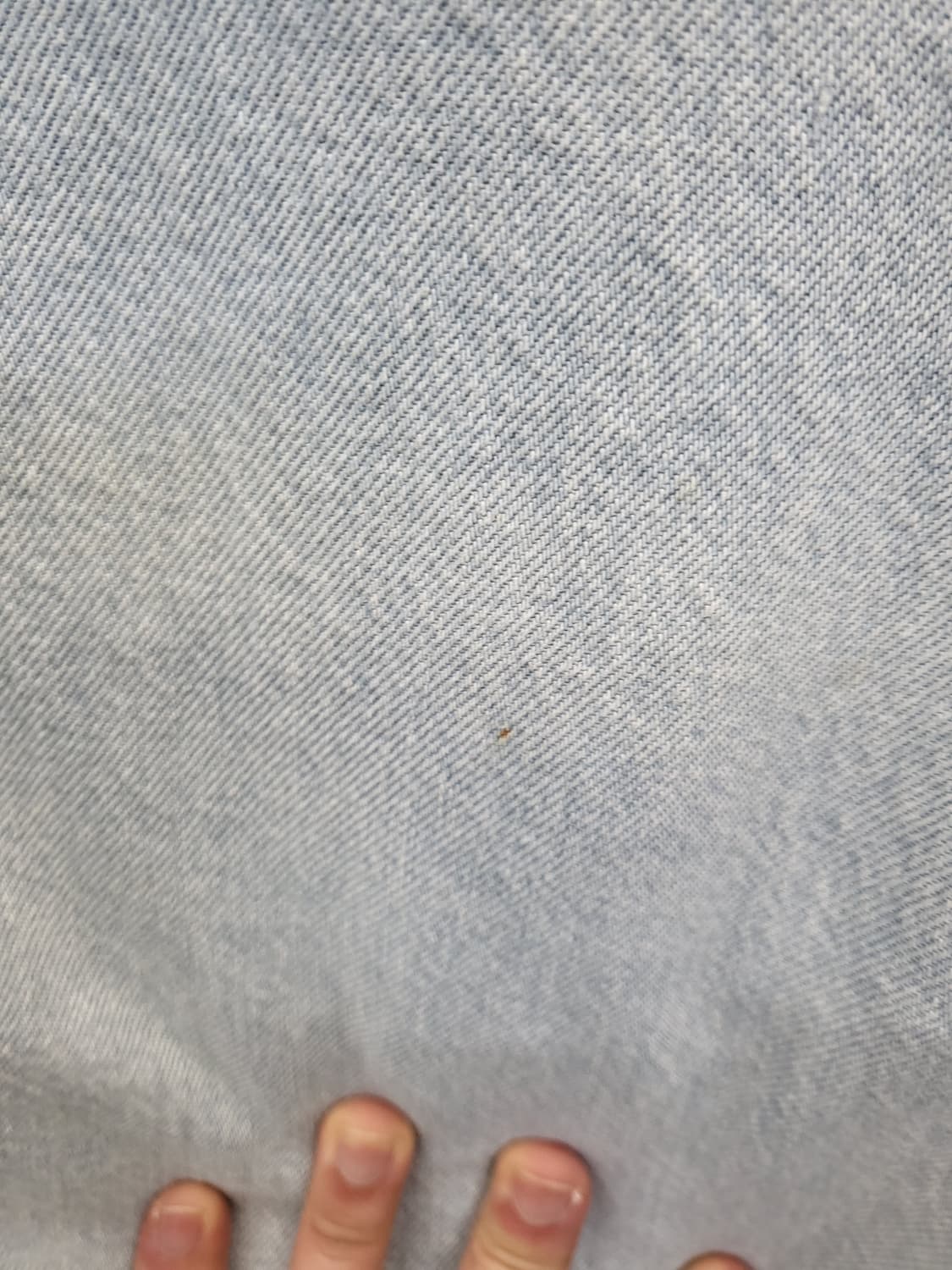 아크네스튜디오 데님 후드티 상품이미지5