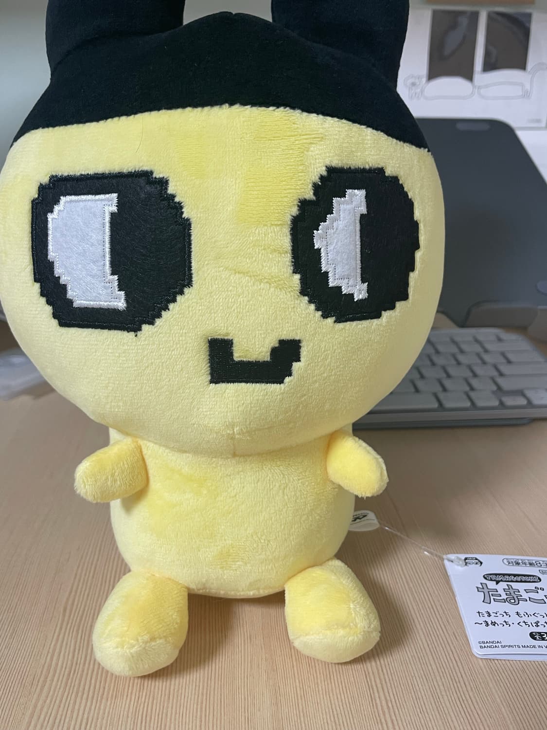 다마고치 마메치 25cm 인형 쿠션 엔시티 위시 시온 상품이미지3
