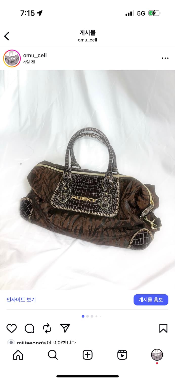 y2k HUSKY BAG 상품이미지1