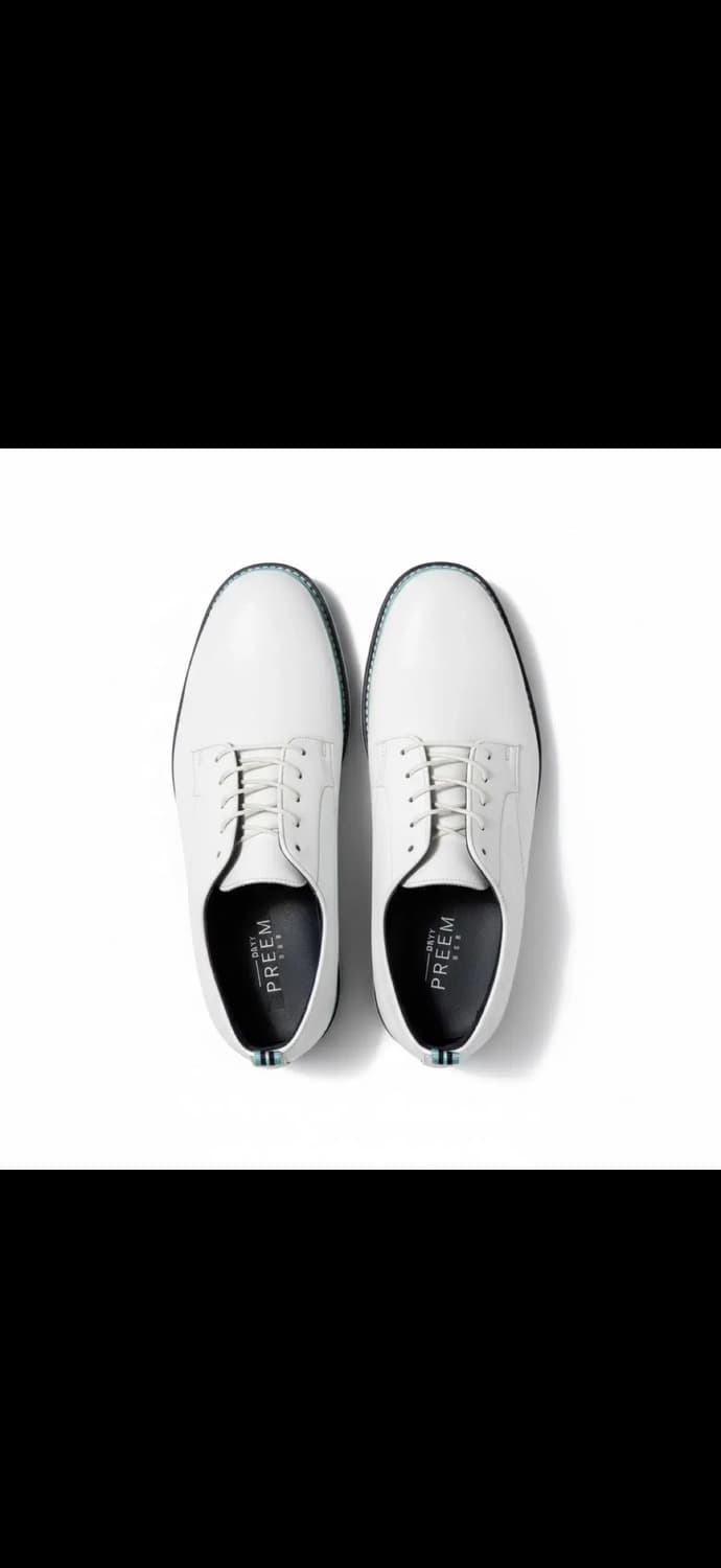 풋조이 프리미어 시리즈 골프화 290mm 상품이미지1