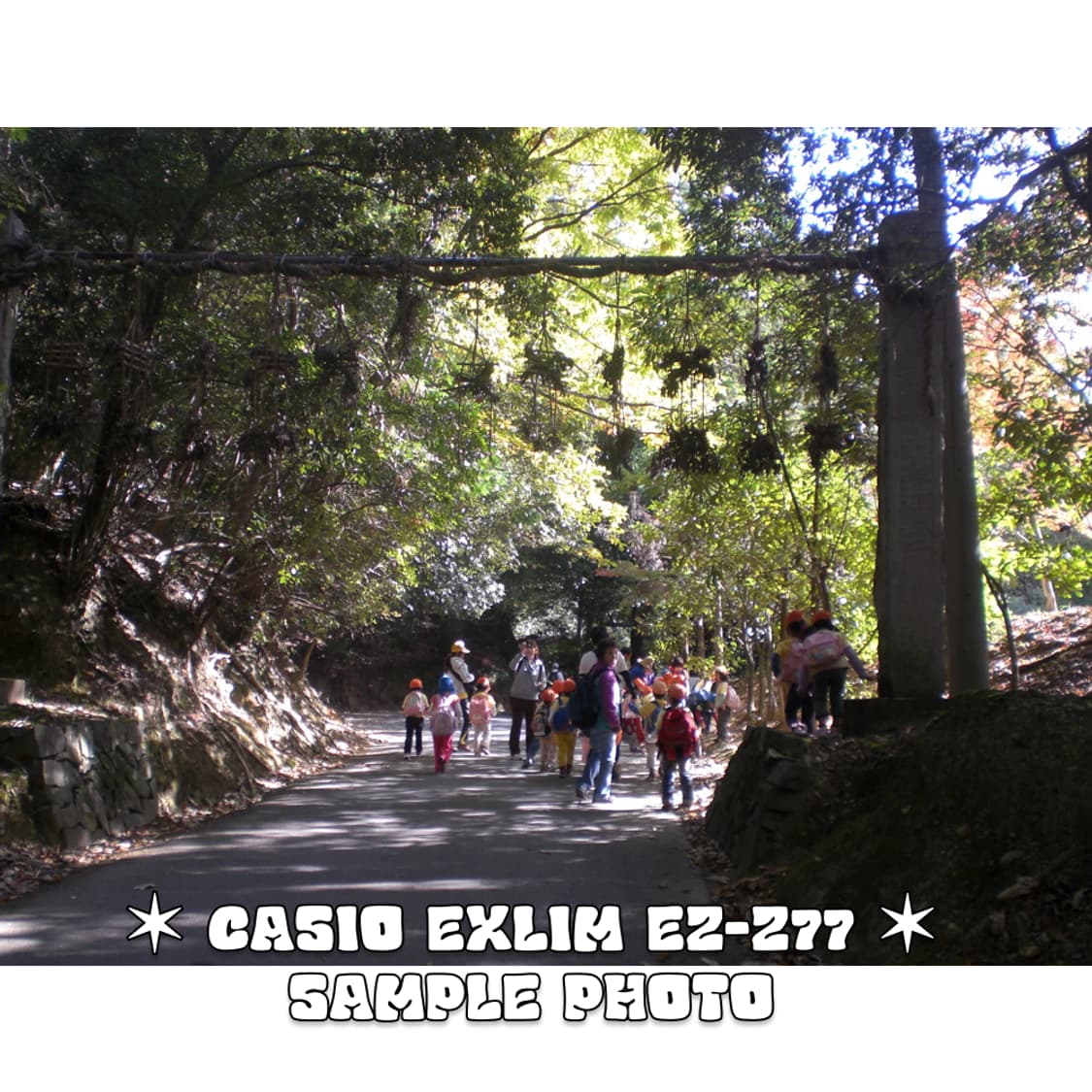 카시오 엑슬림 EXLIM EZ-Z77 빈티지 디카 핑크  상품이미지6