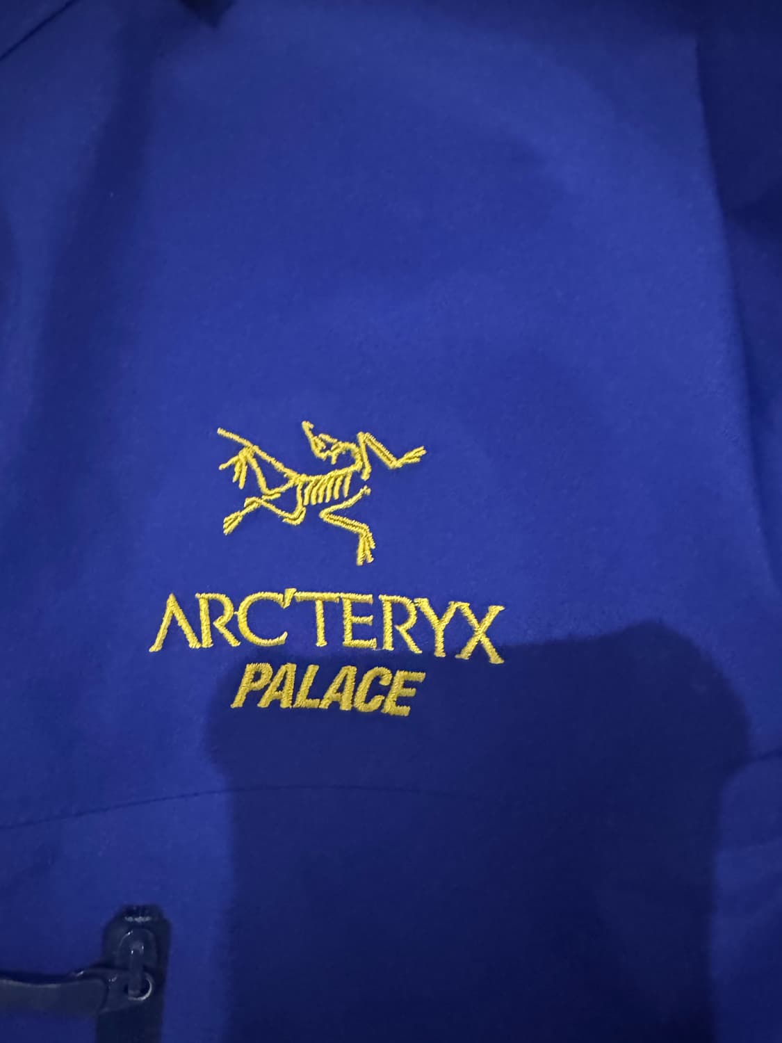 팔라스 x 아크테릭스 알파 SV자켓 상품이미지5