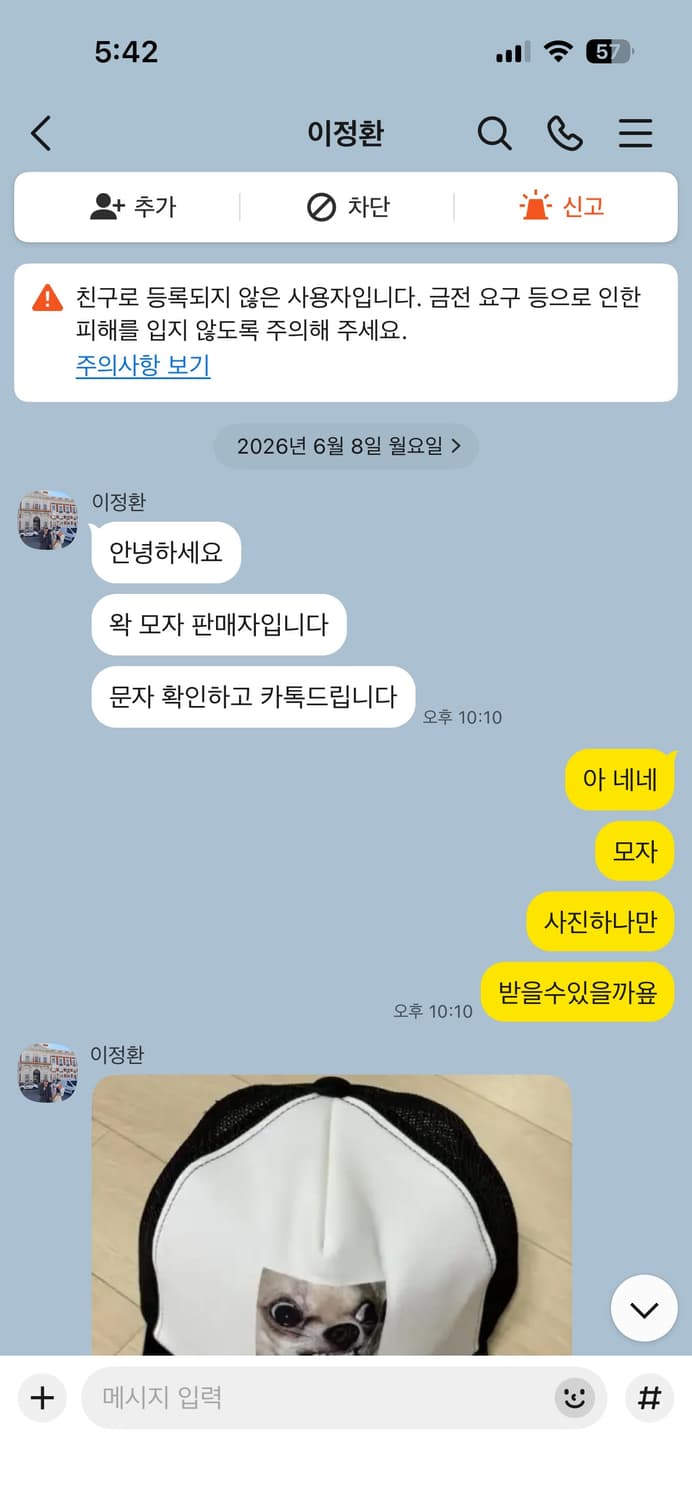 wack 치와와 모자 삽니다 상품이미지2
