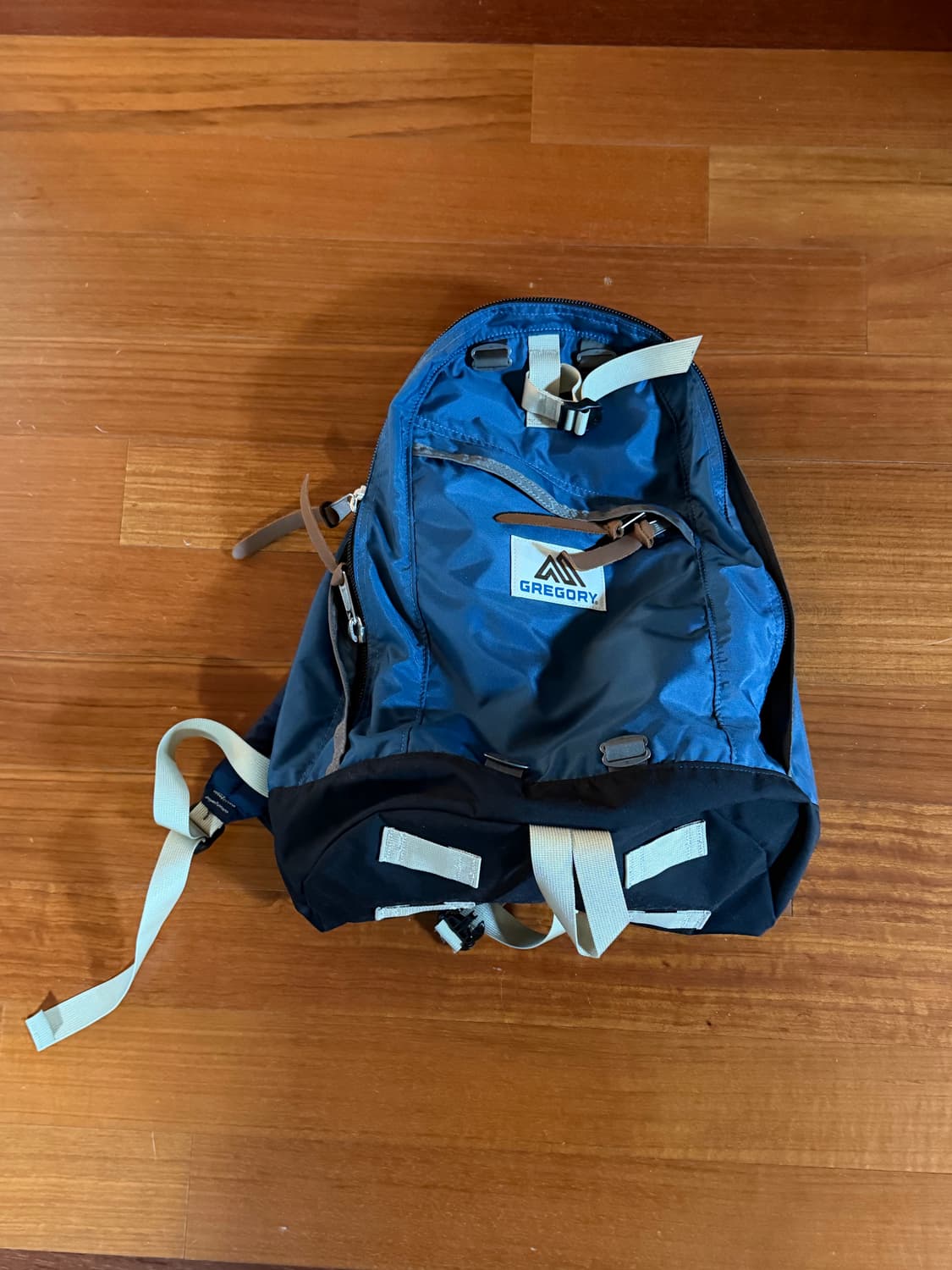 그레고리 디스이즈네버댓 상품이미지1